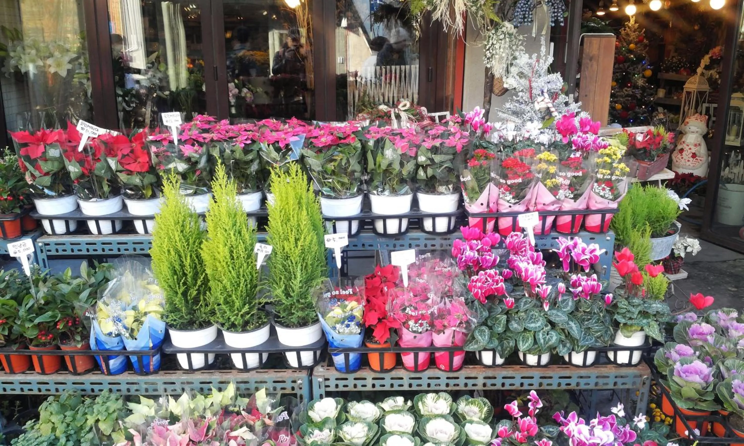 Activities in OPPA Hostel Sinchon-Hongdae