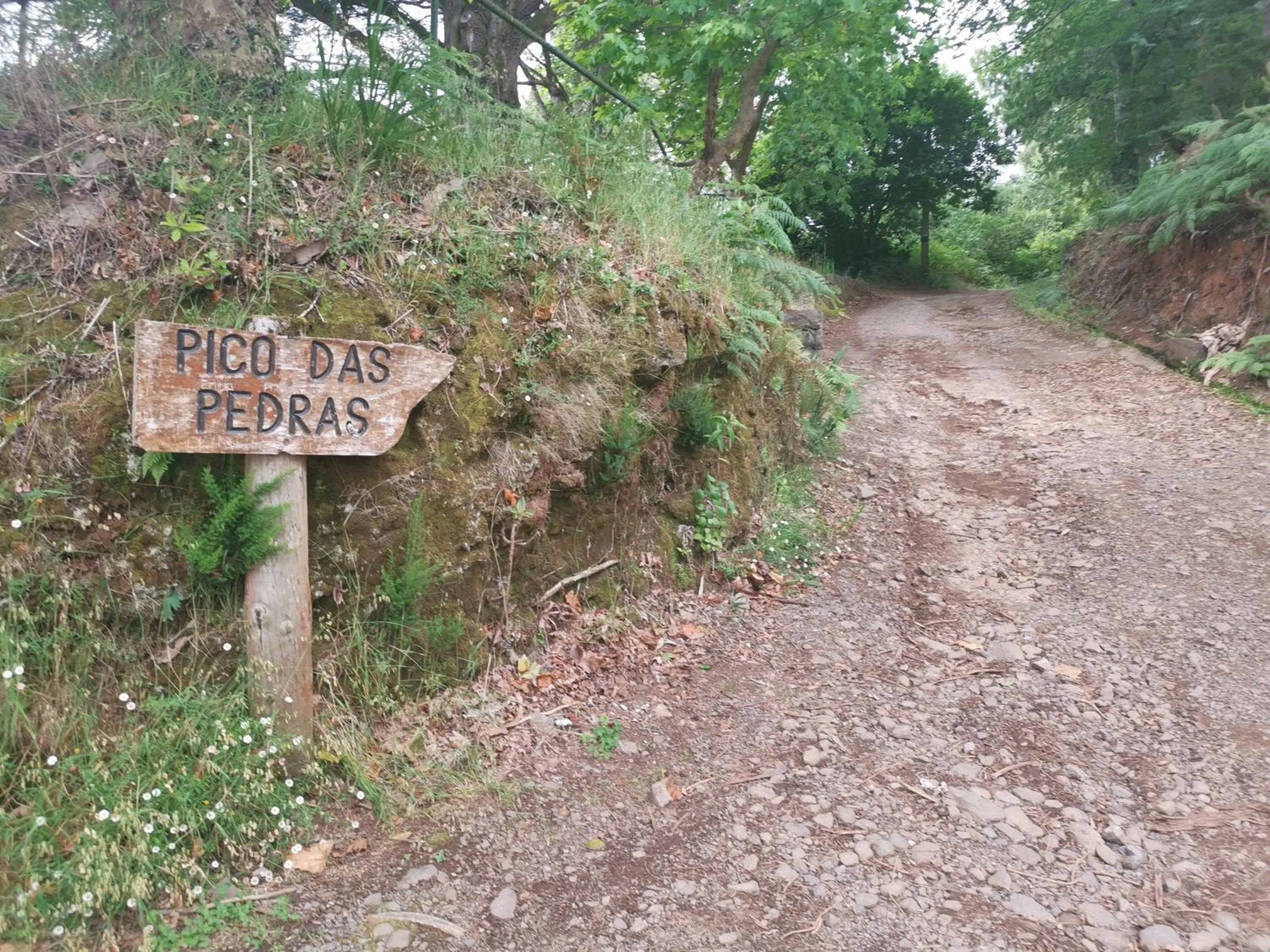 Natural landscape in Santana in Nature Bed & Breakfast