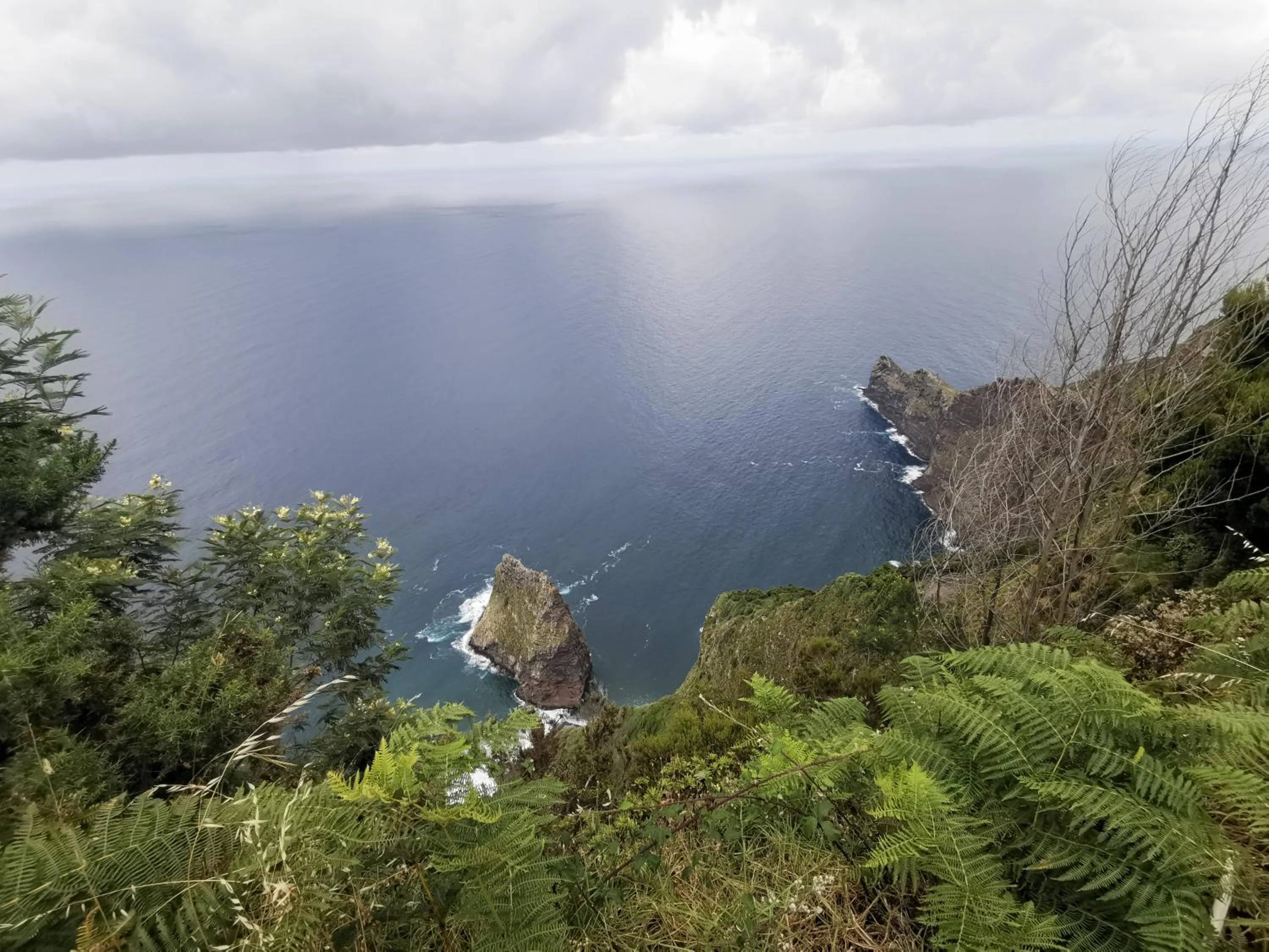 Nearby landmark in Santana in Nature Bed & Breakfast