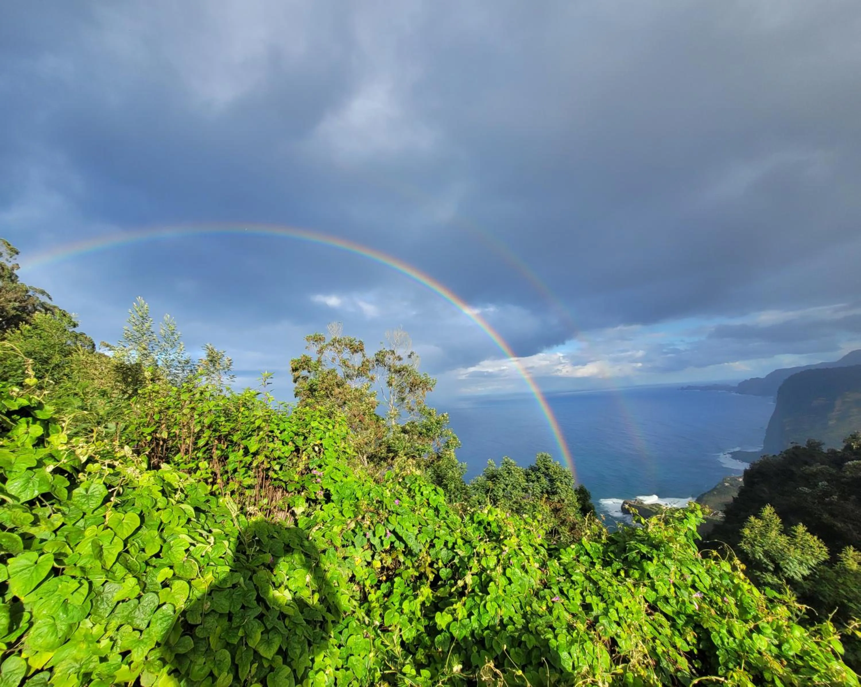 Santana in Nature Bed & Breakfast