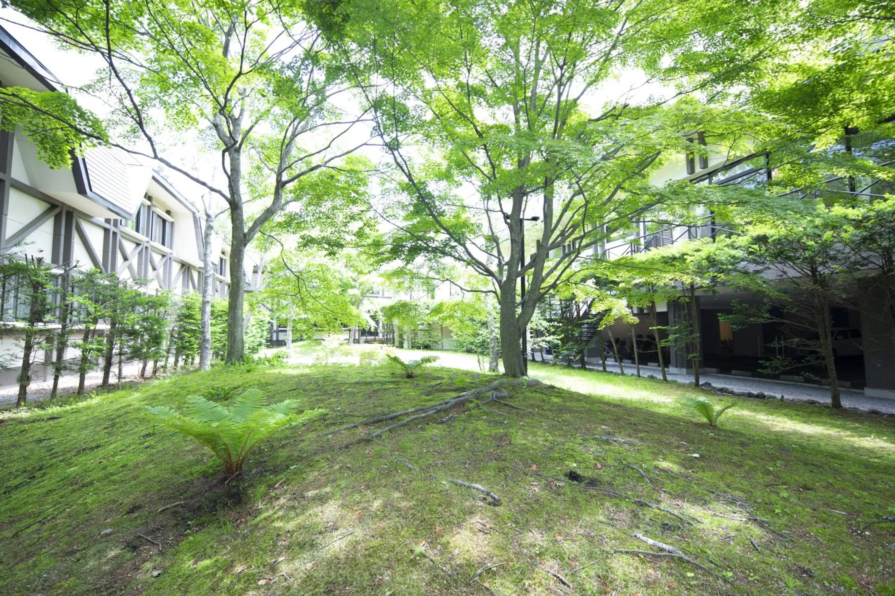 Garden in Hotel Marroad Karuizawa