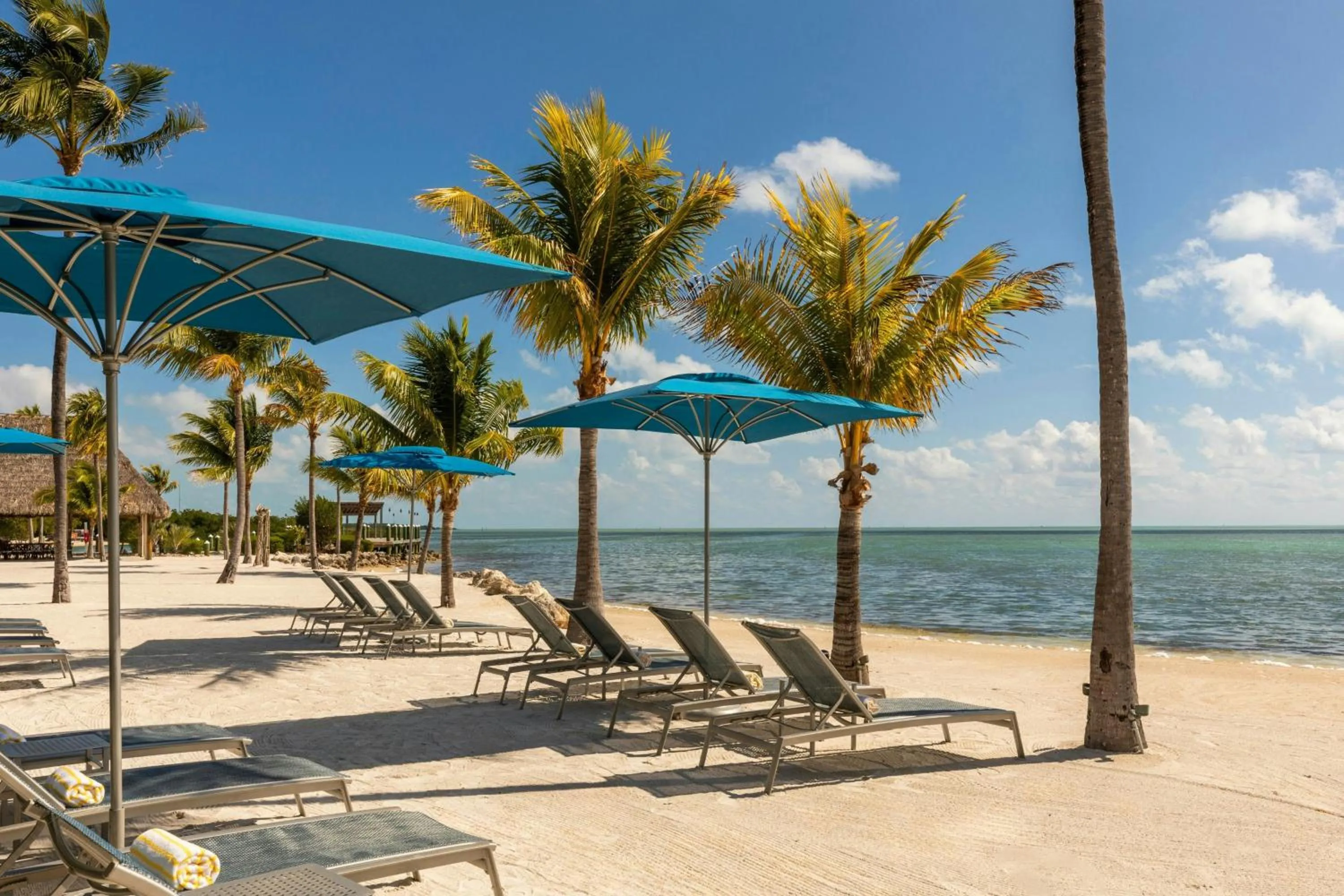 Beach in Three Waters Resort and Marina, Islamorada, a Tribute Portfolio Resort