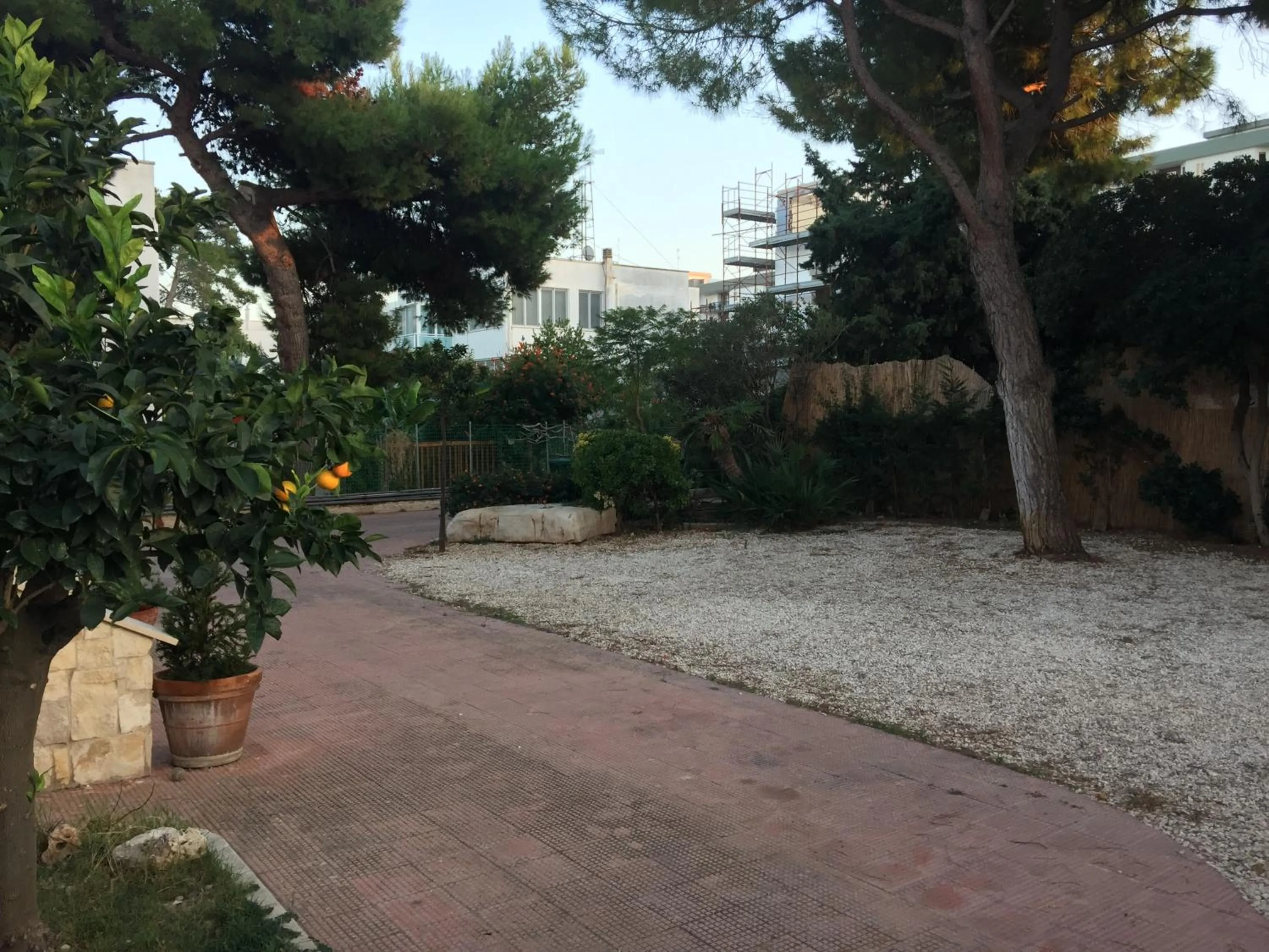 Garden in La Casa di Emanuella - Rooms & International Suites