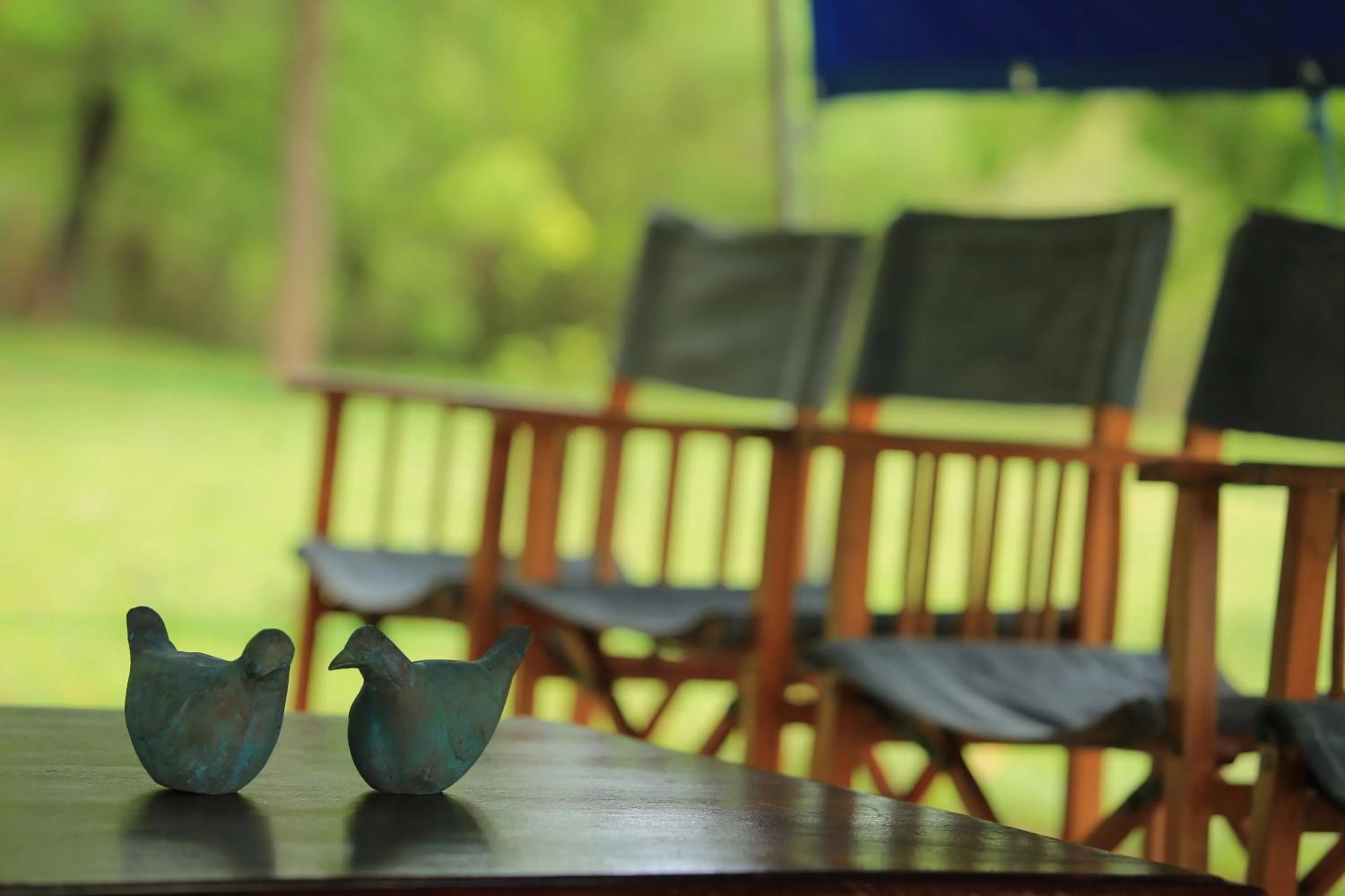 Garden view in Big Game Udawalawe - by Eco Team