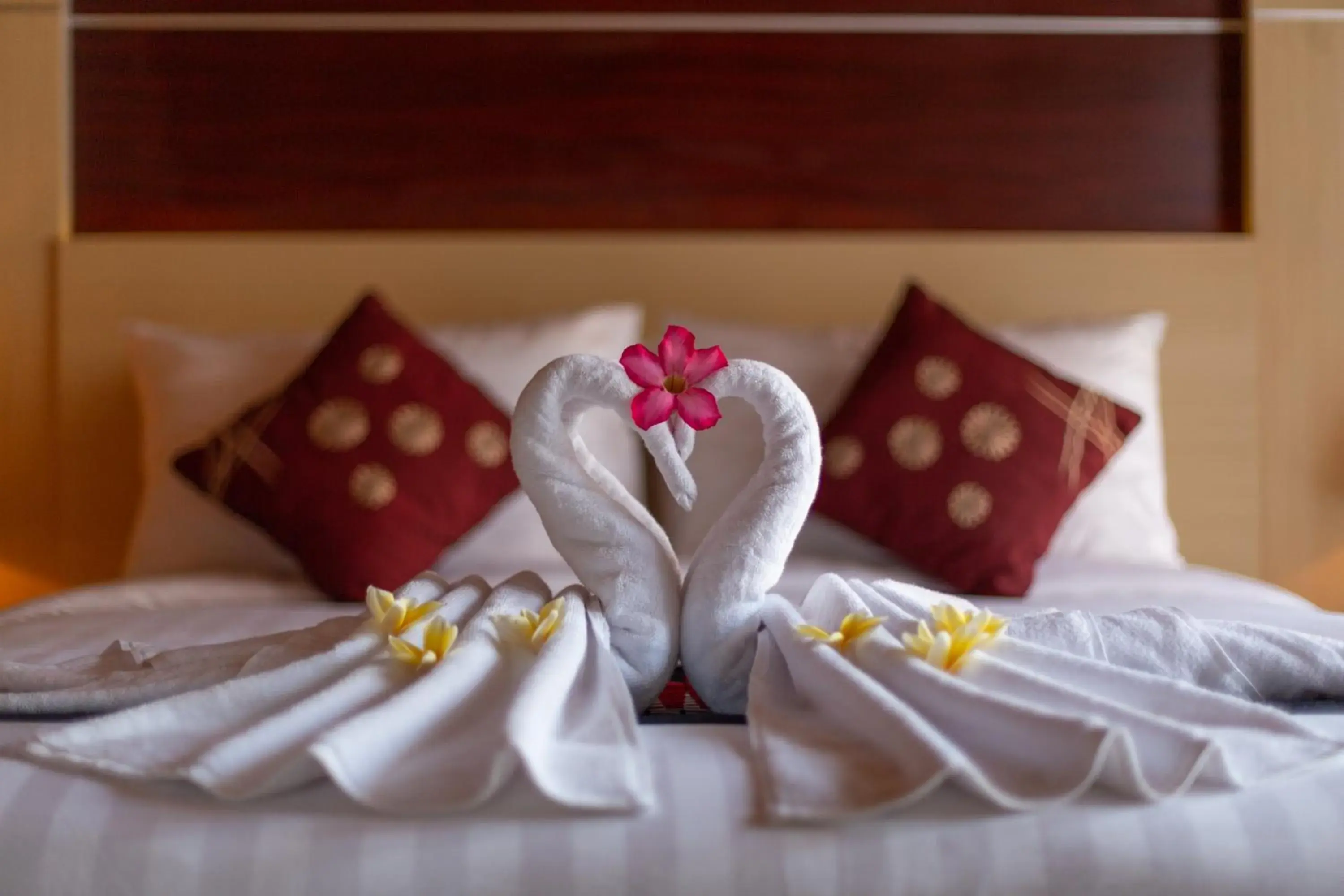 Bed in Sunrise Cottage Bed in Sunrise Cottage