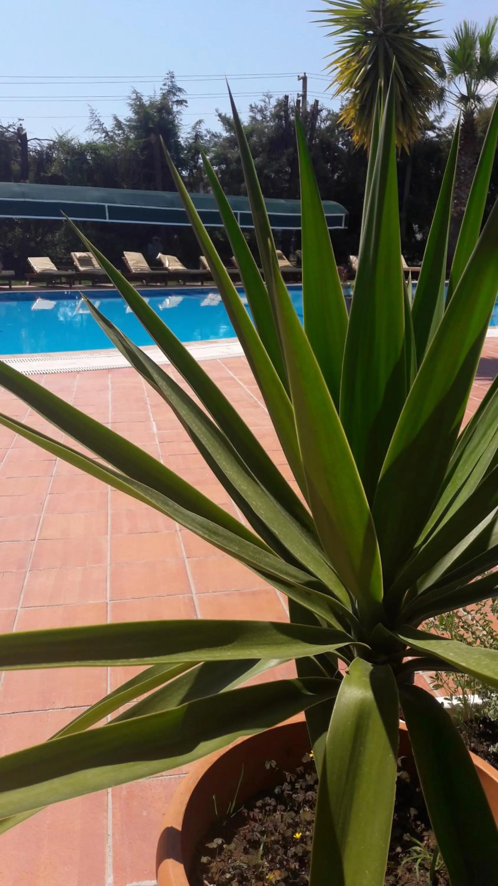 Summer in Rebin Beach Hotel