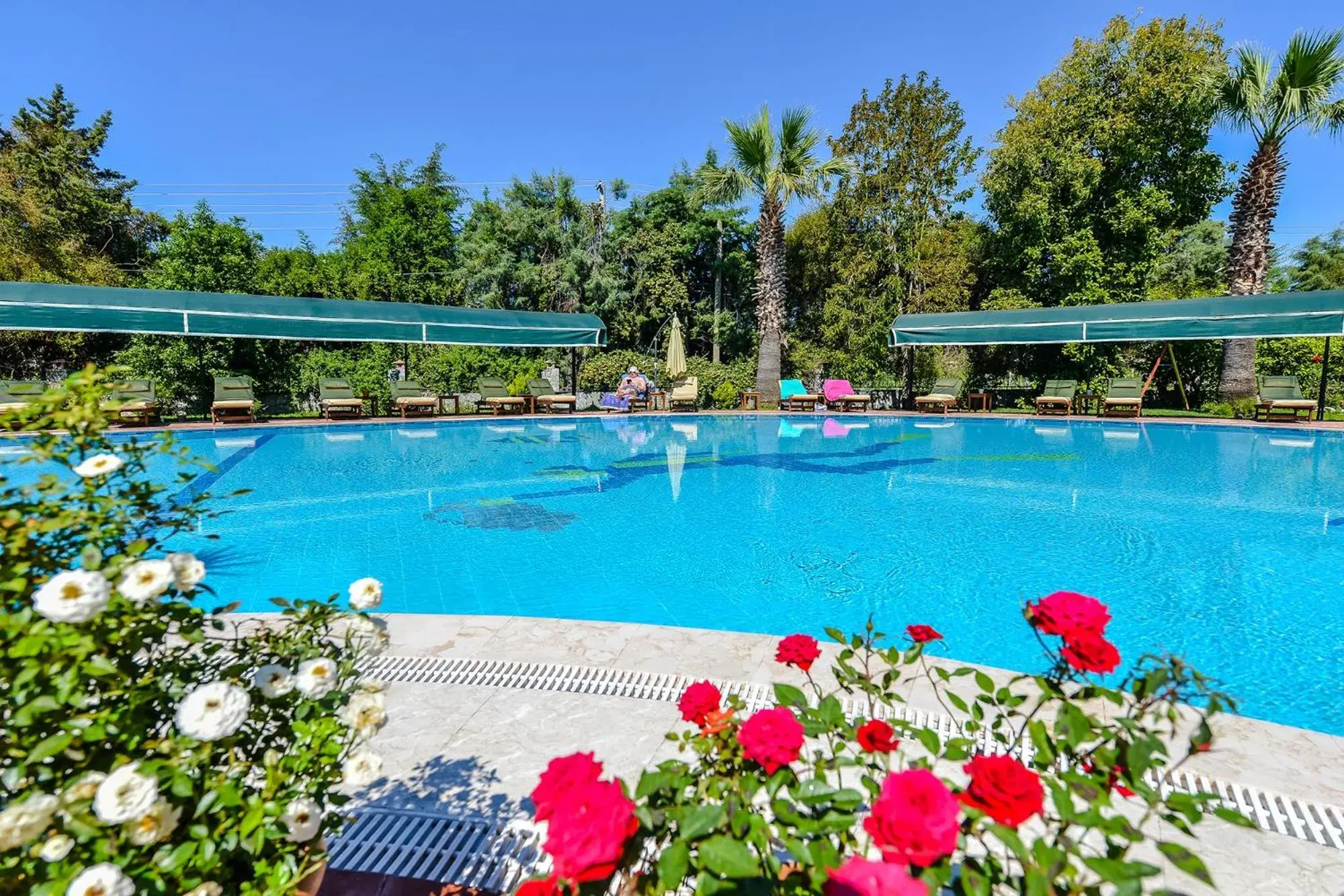 Pool view in Rebin Beach Hotel Pool view in Rebin Beach Hotel