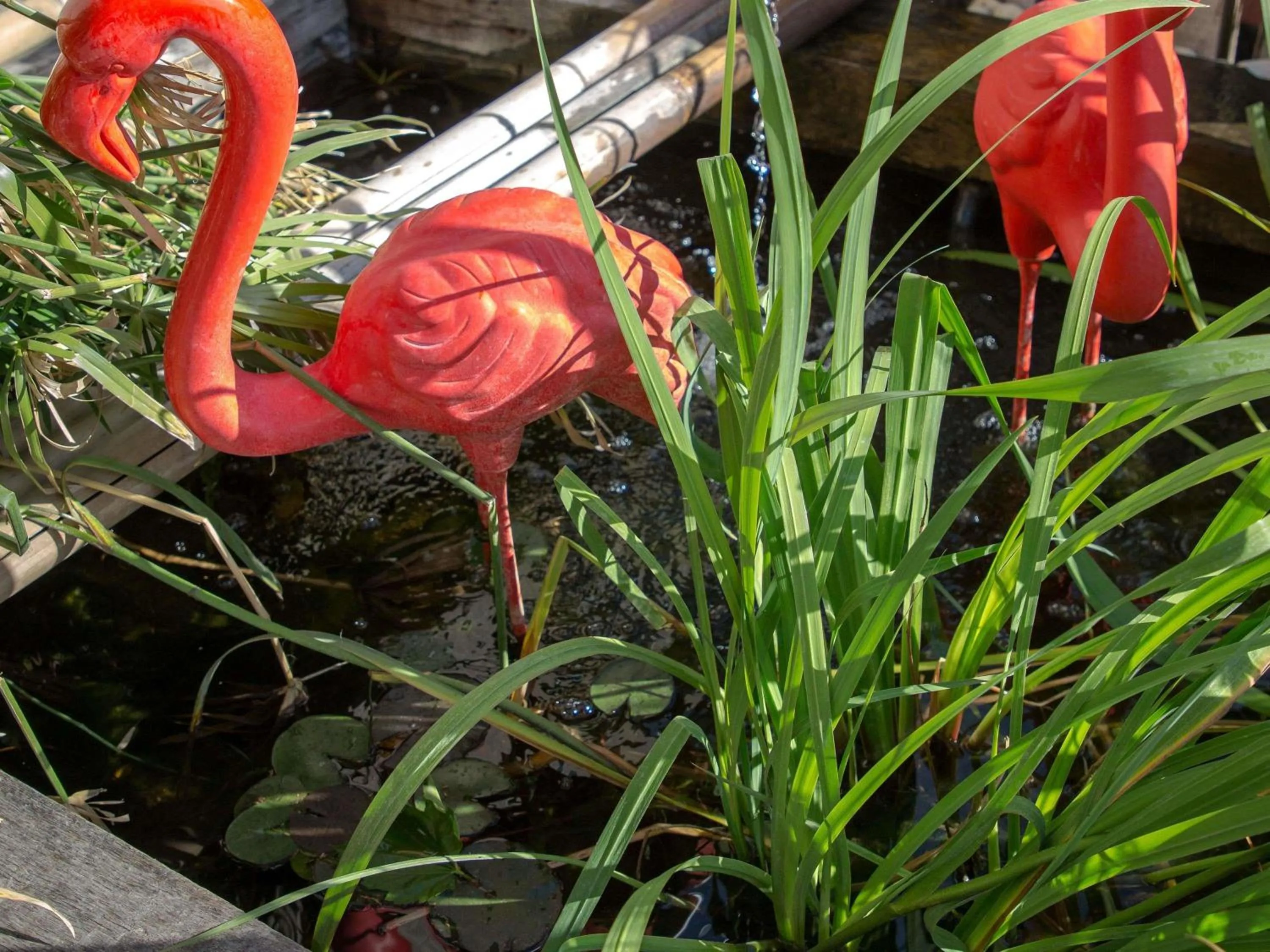 Other in ibis Brignoles Provence Verte