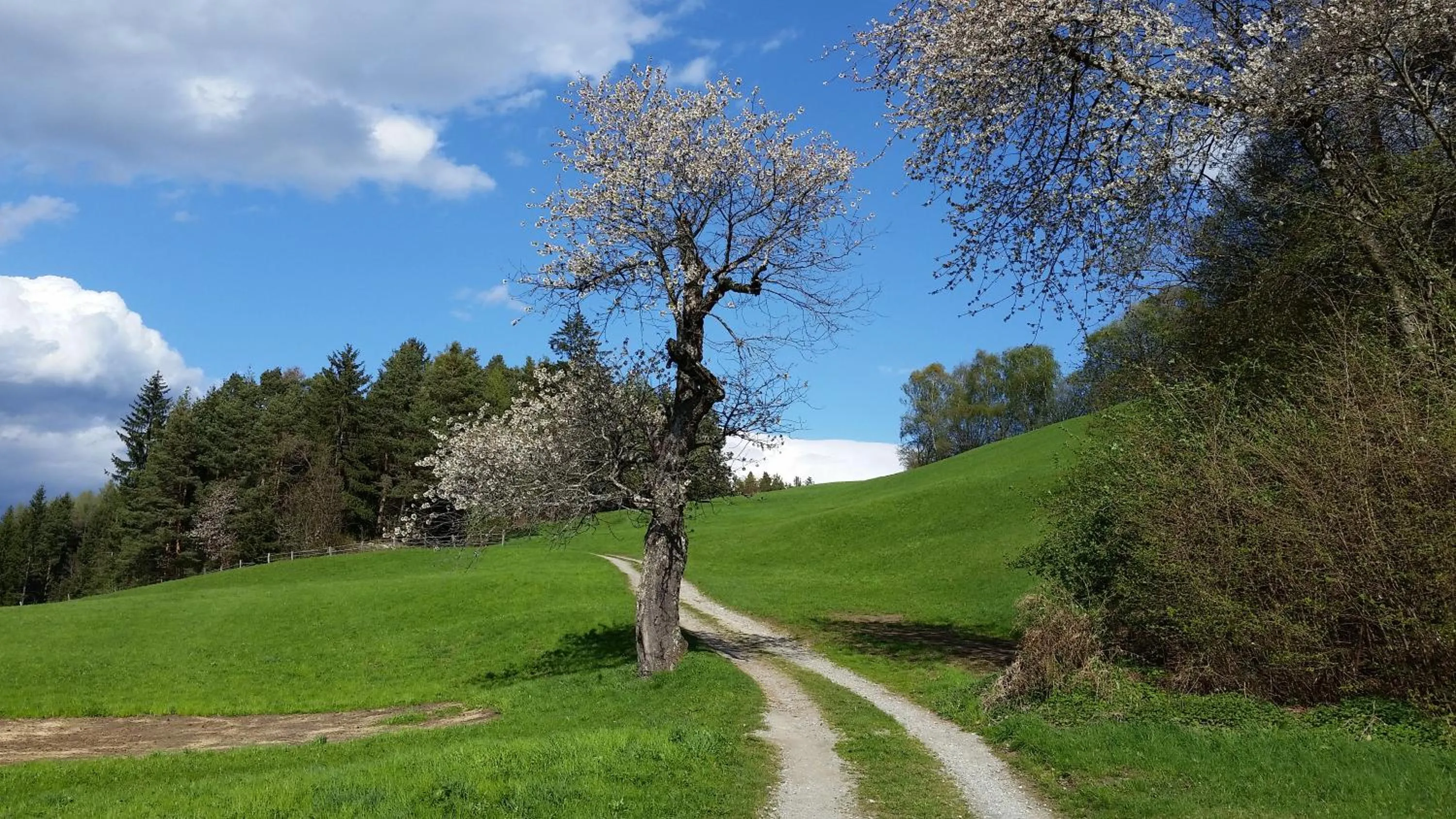 Spring in Residence La Planta