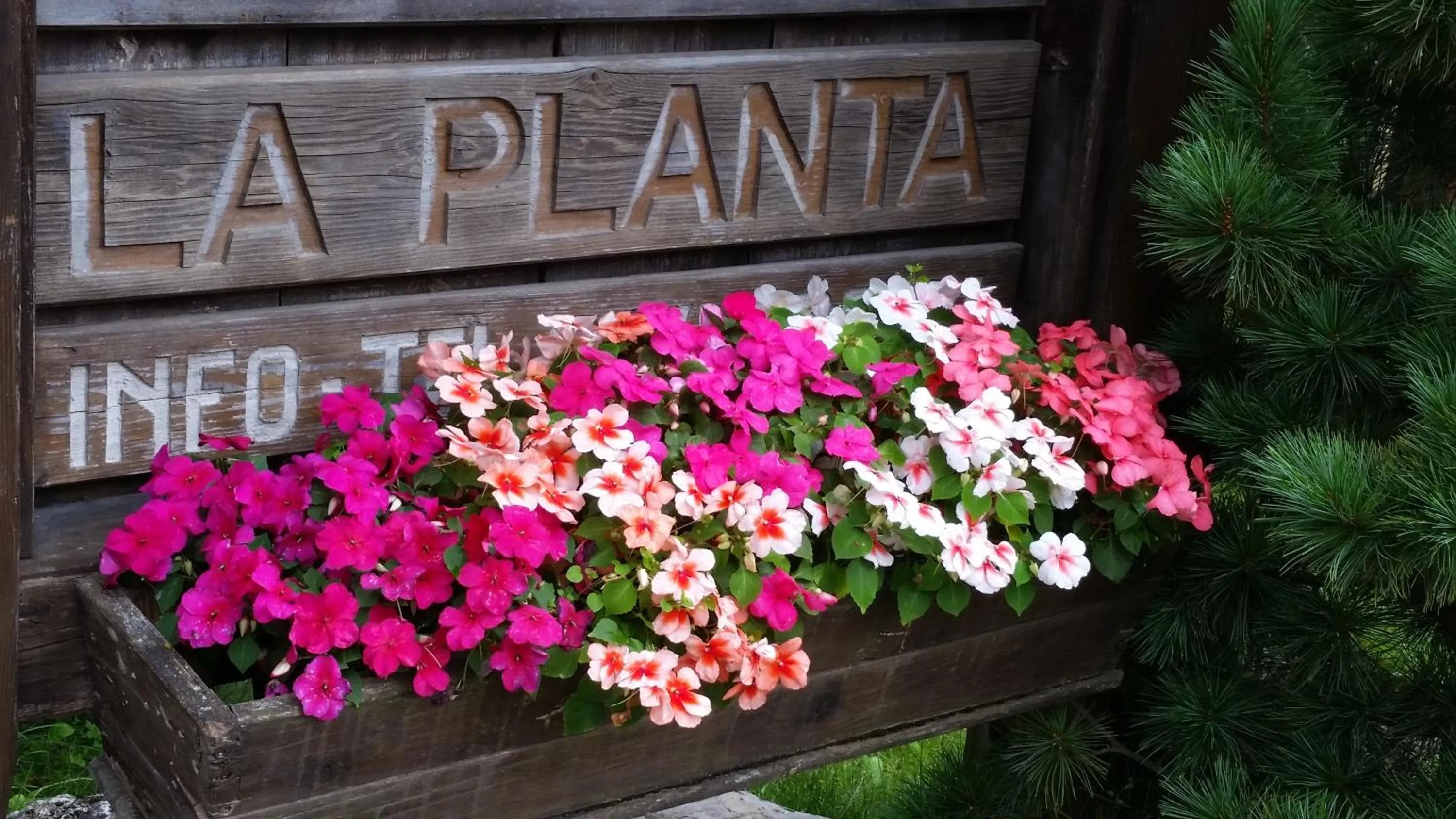 Day in Residence La Planta