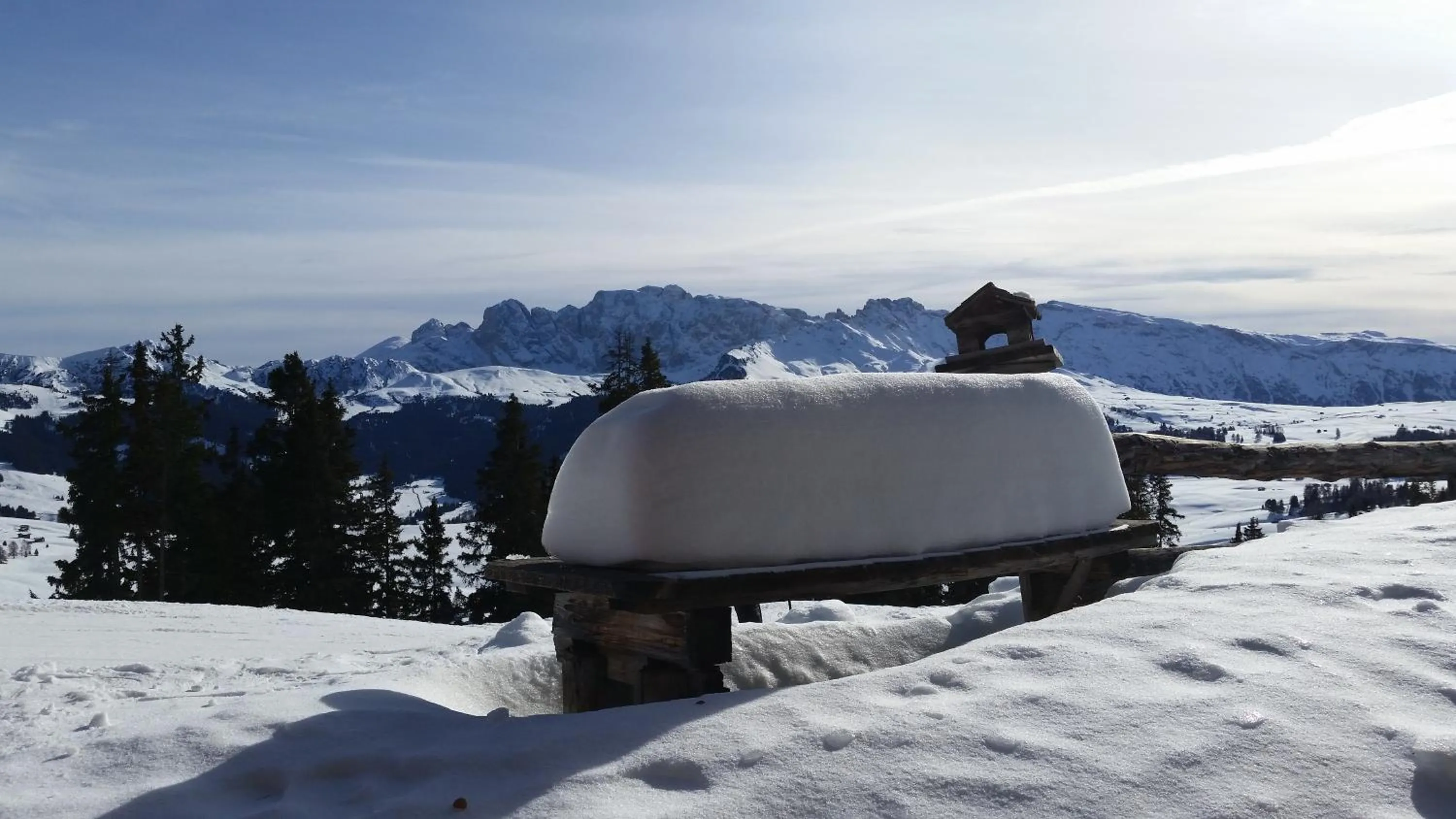 Winter in Residence La Planta