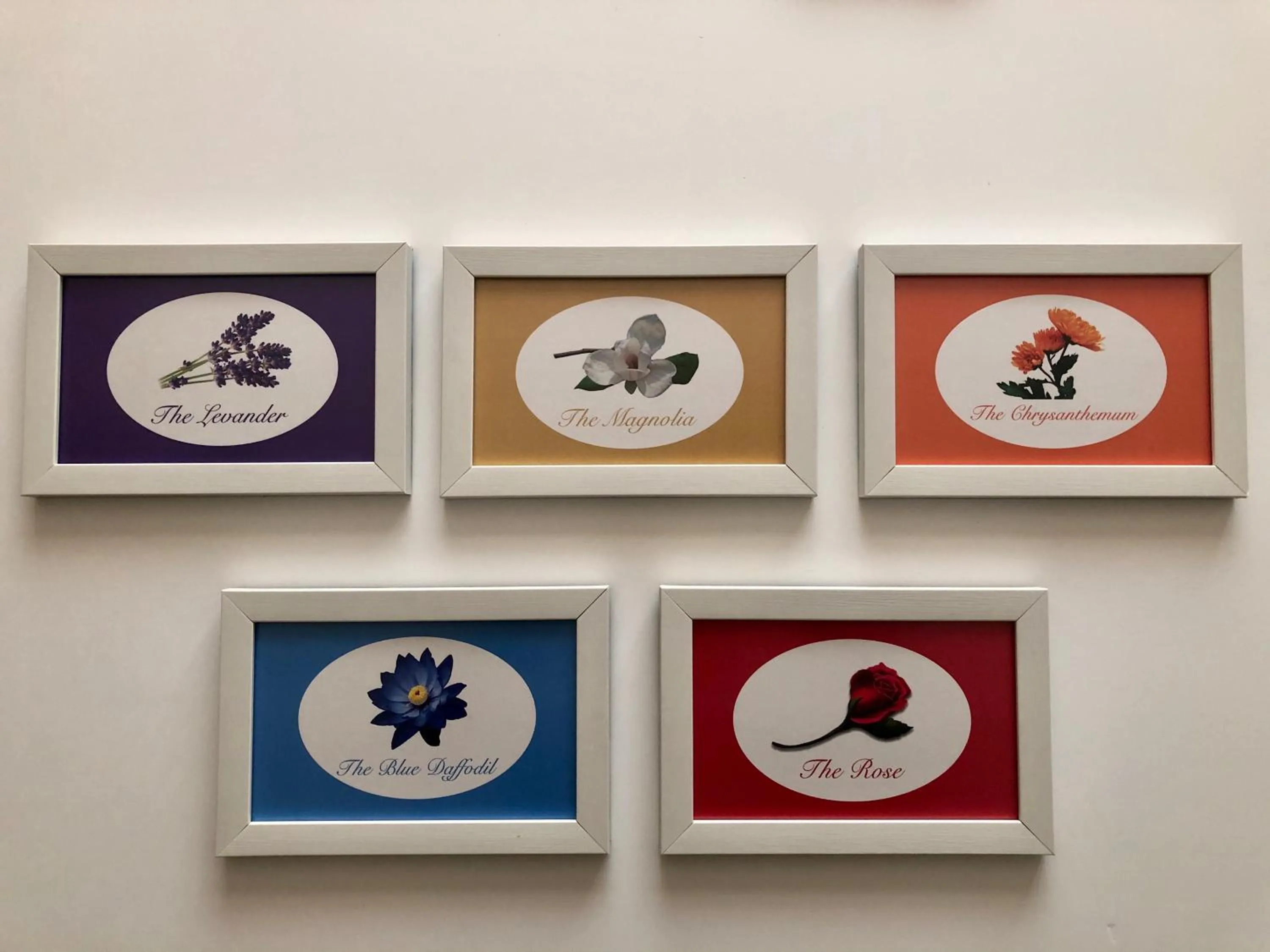 Logo/Certificate/Sign in Mehmet Bey Suites