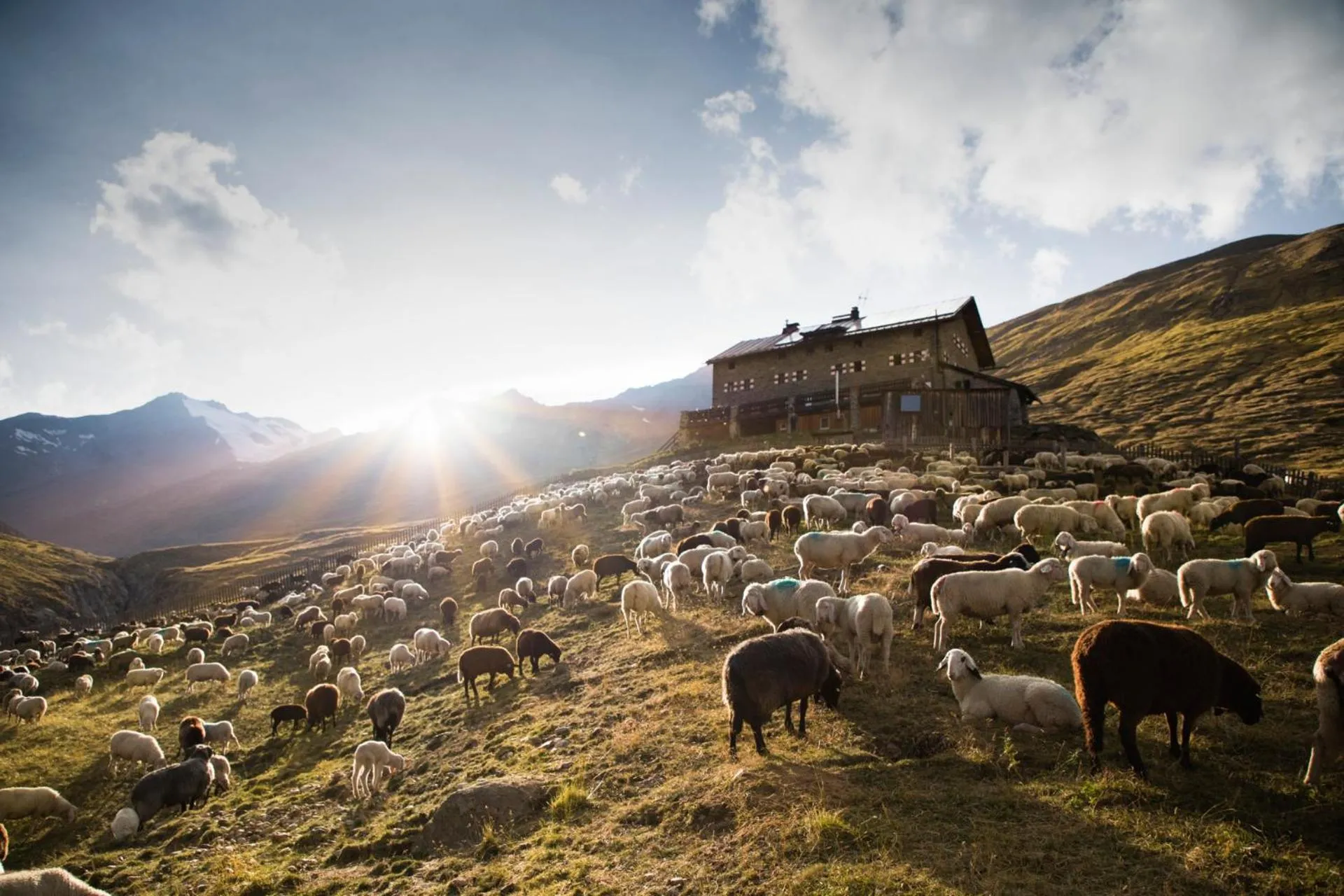 Day in Hotel Alt Vent Tyrol