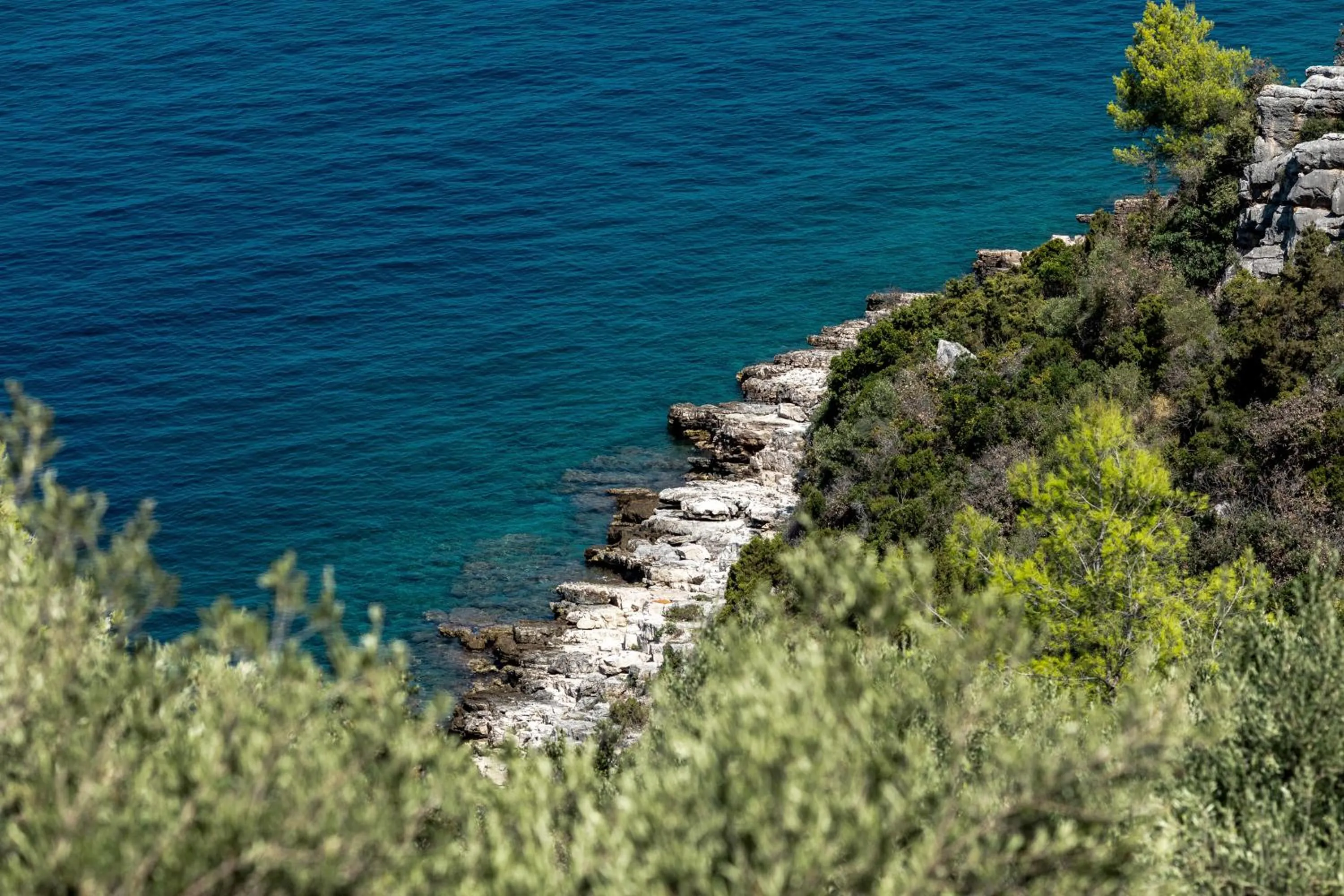 Natural landscape in Holiday home Maslinova