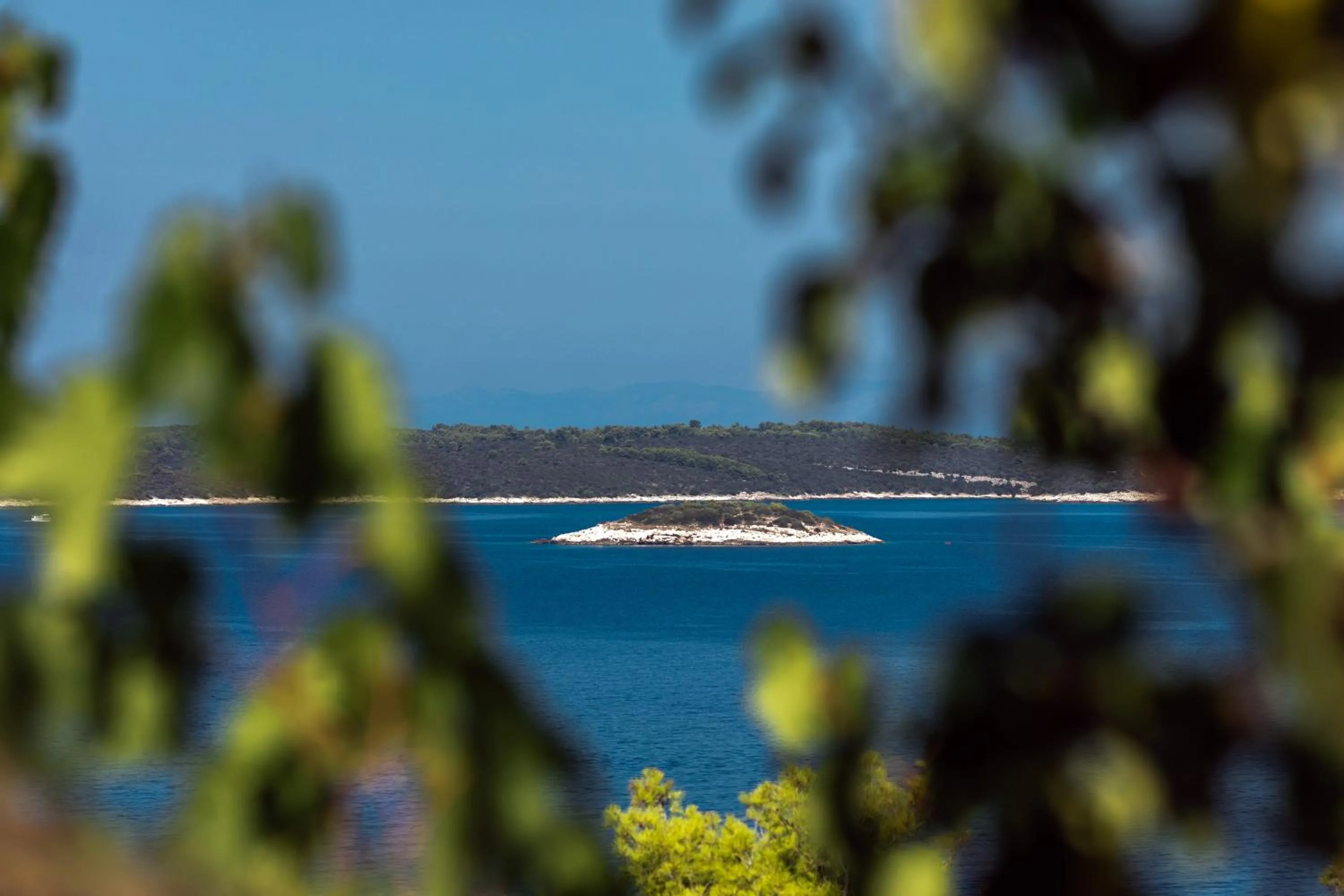 Natural landscape in Holiday home Maslinova