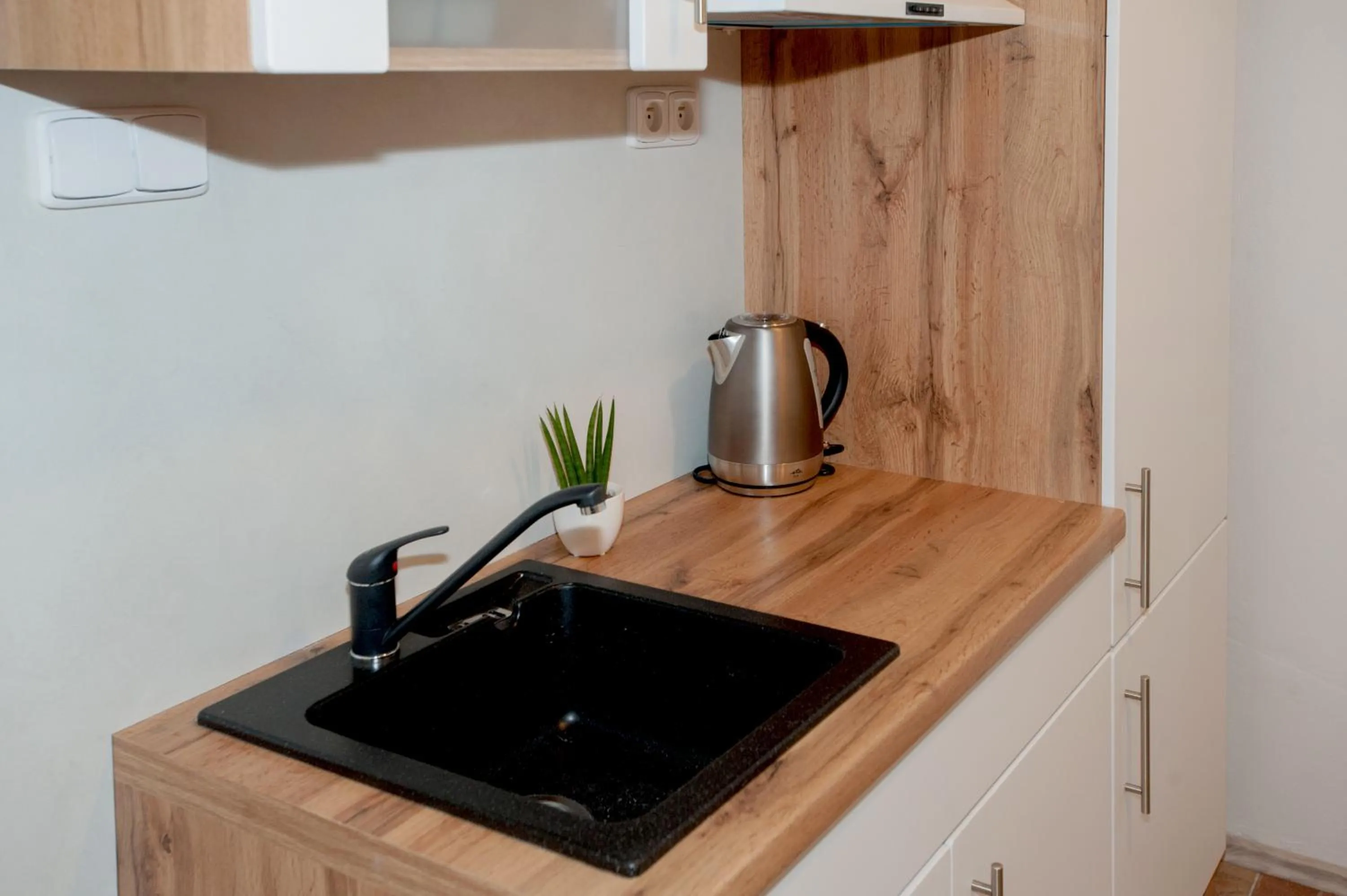 Kitchen or kitchenette in Čerti Apartmány