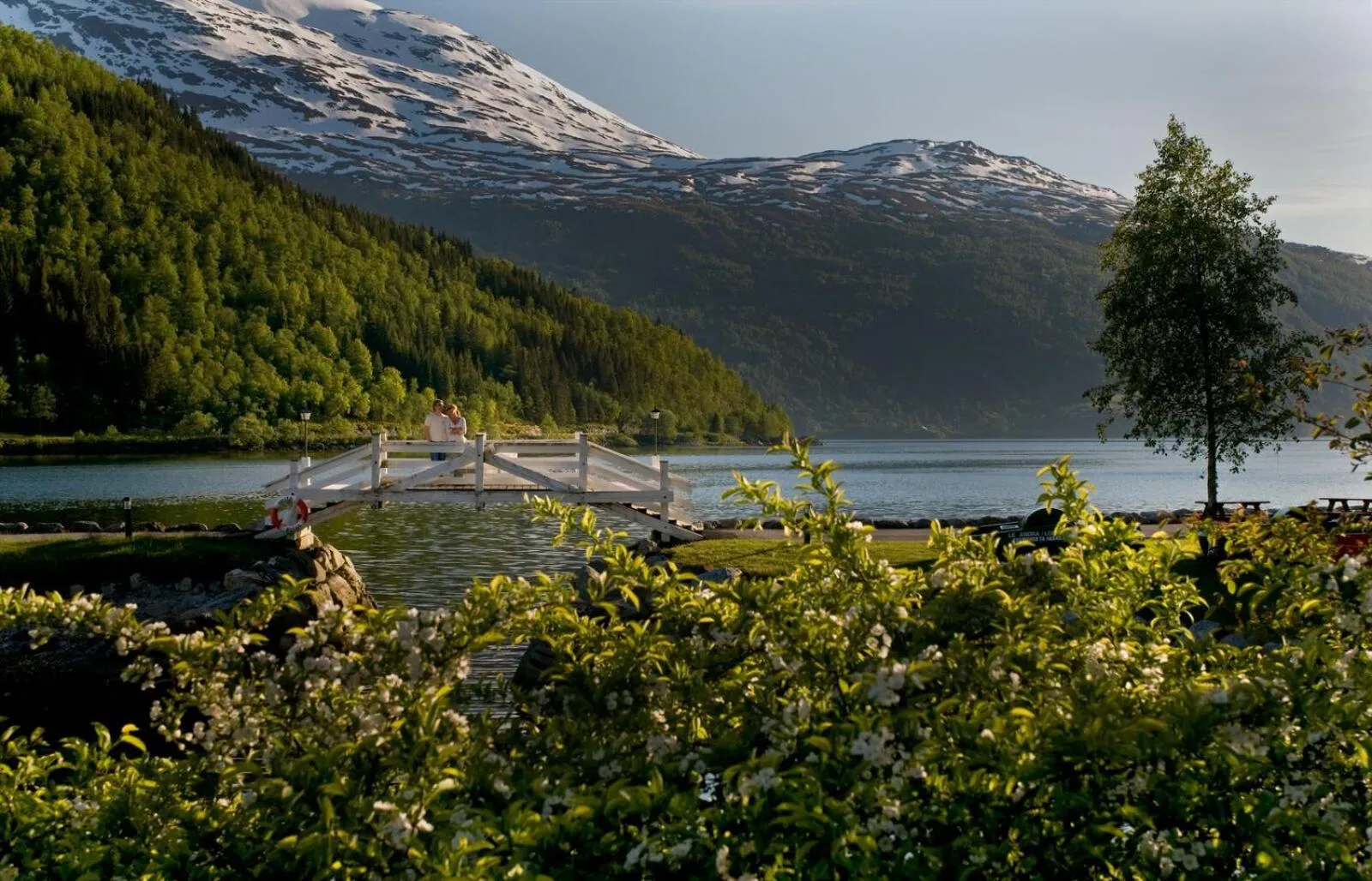 Natural landscape in Hotel Alexandra Loen