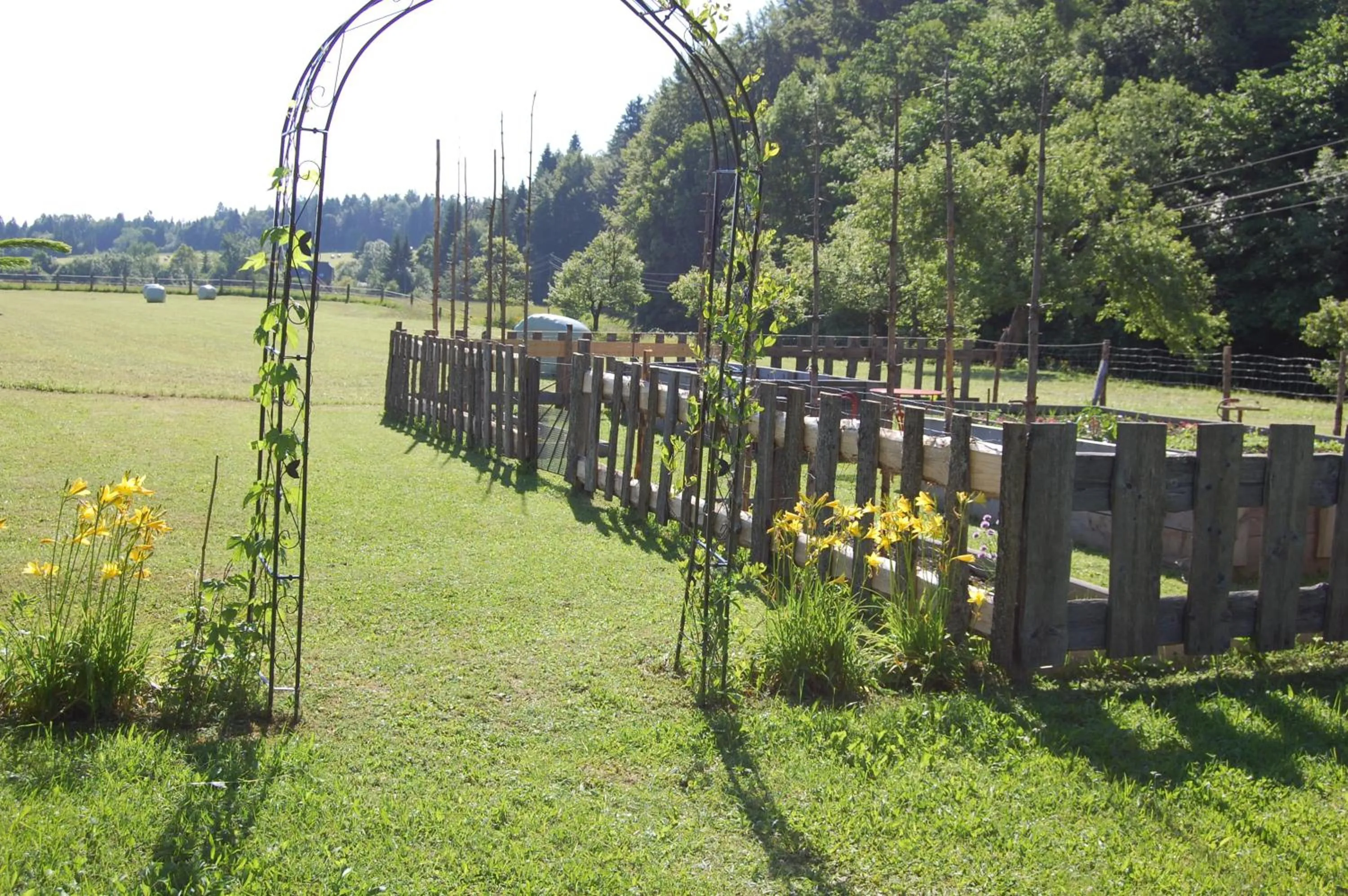 Garden in Gasthof Martinihof