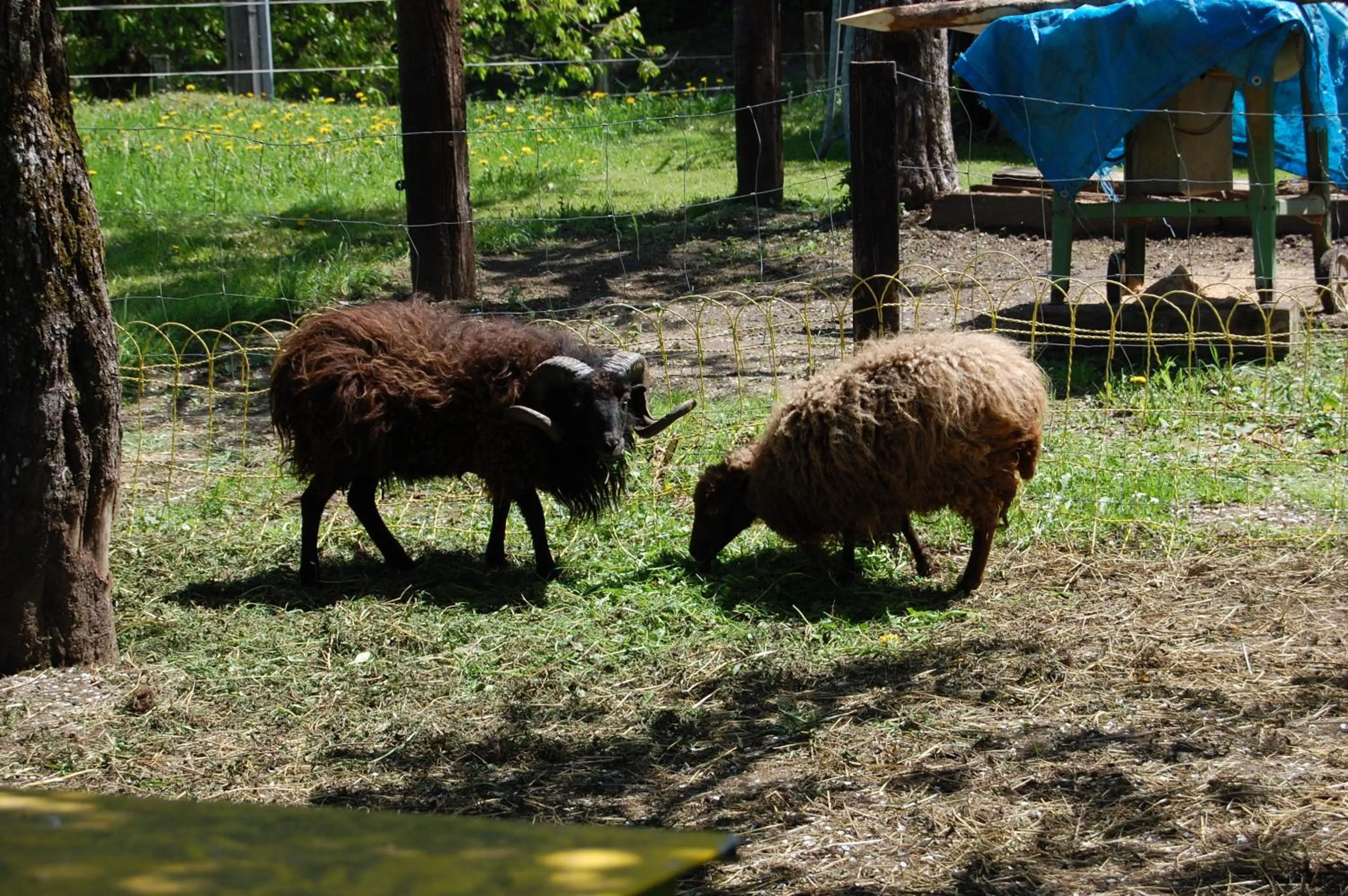 Other in Gasthof Martinihof