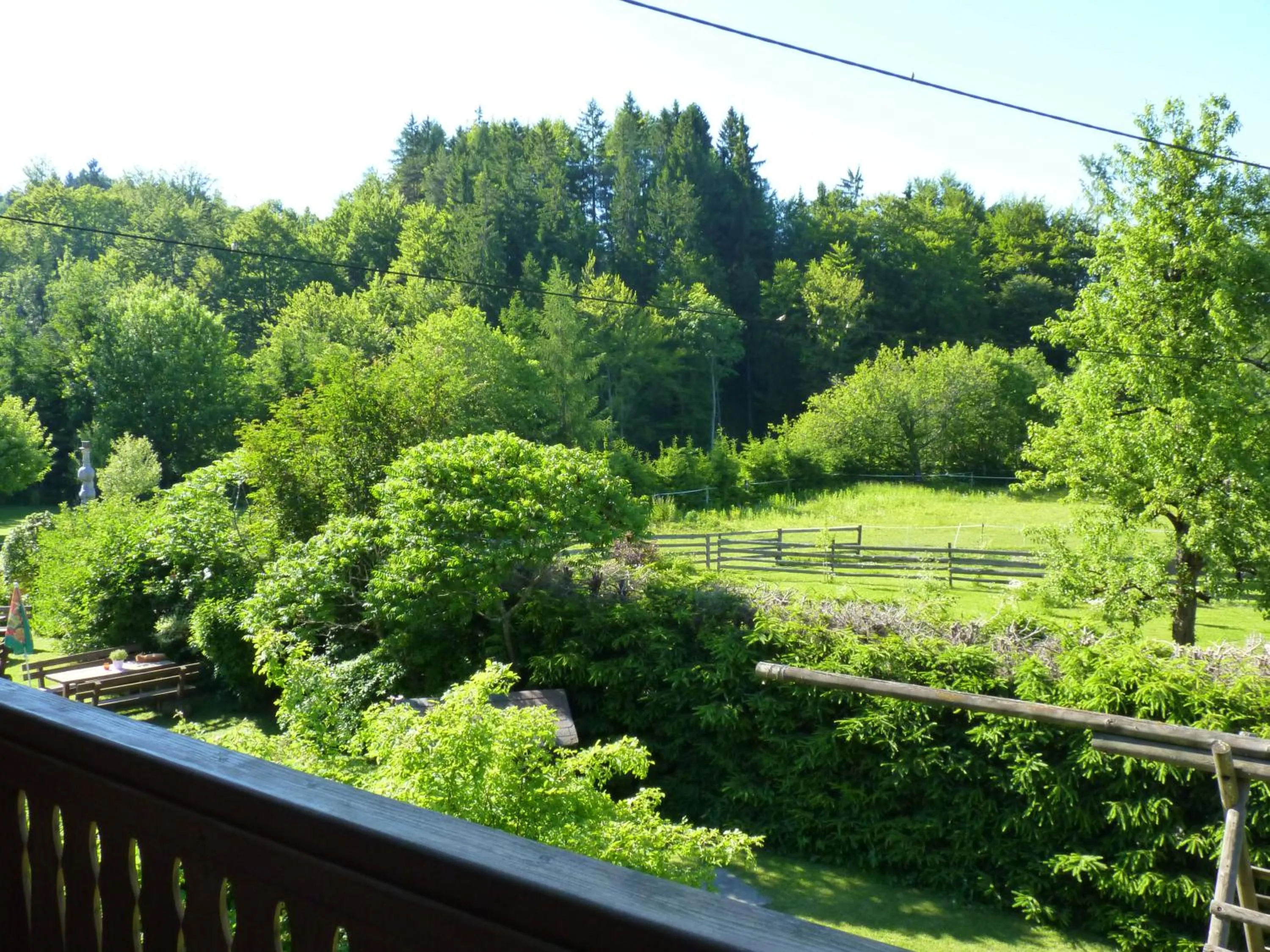 Garden in Gasthof Martinihof