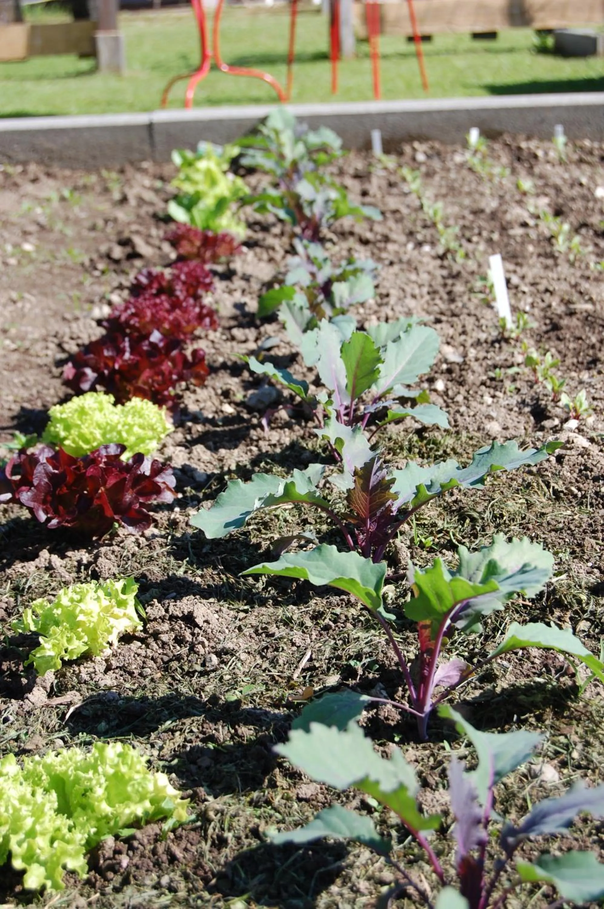 Garden in Gasthof Martinihof