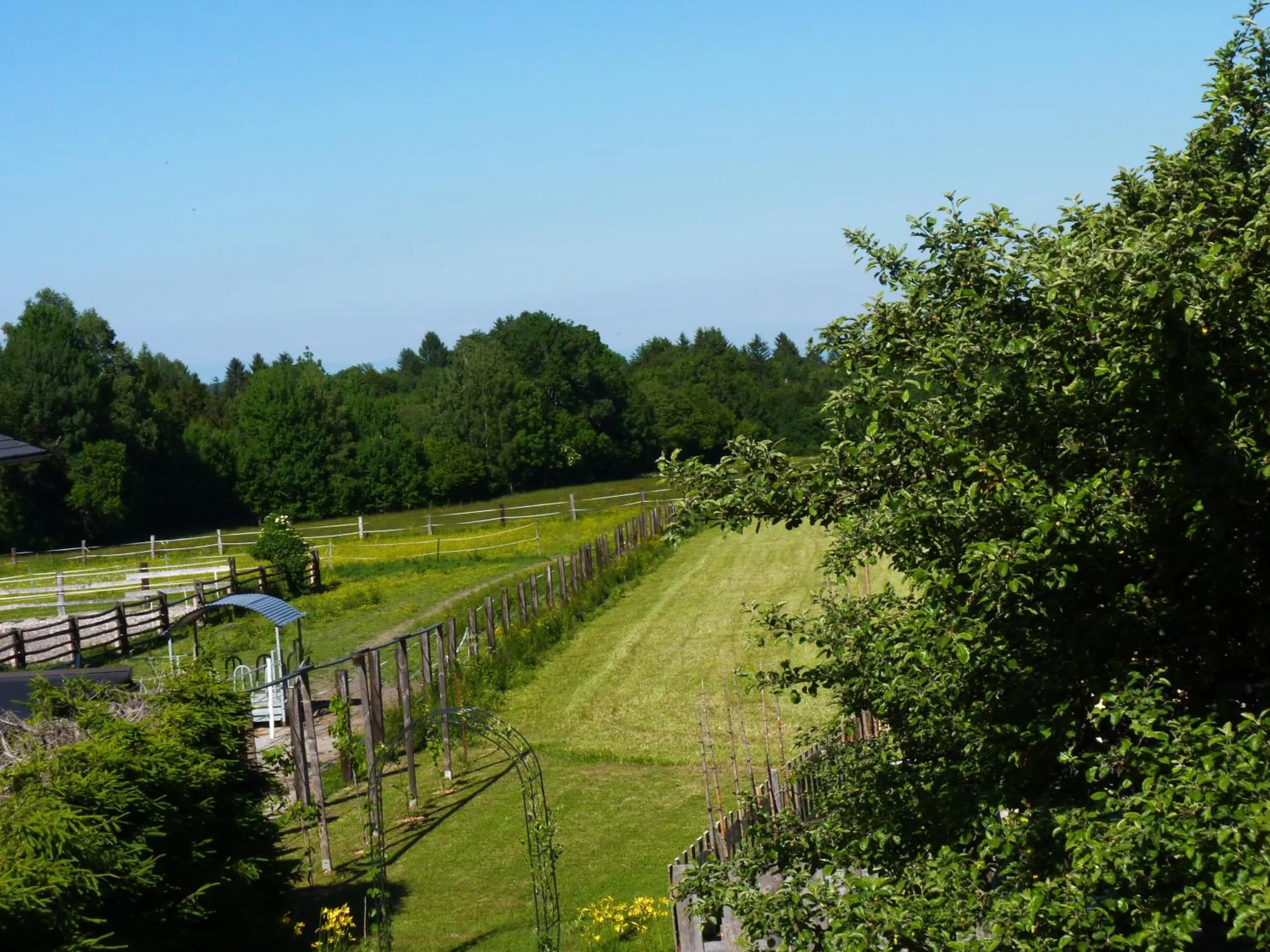 Bird's eye view in Gasthof Martinihof