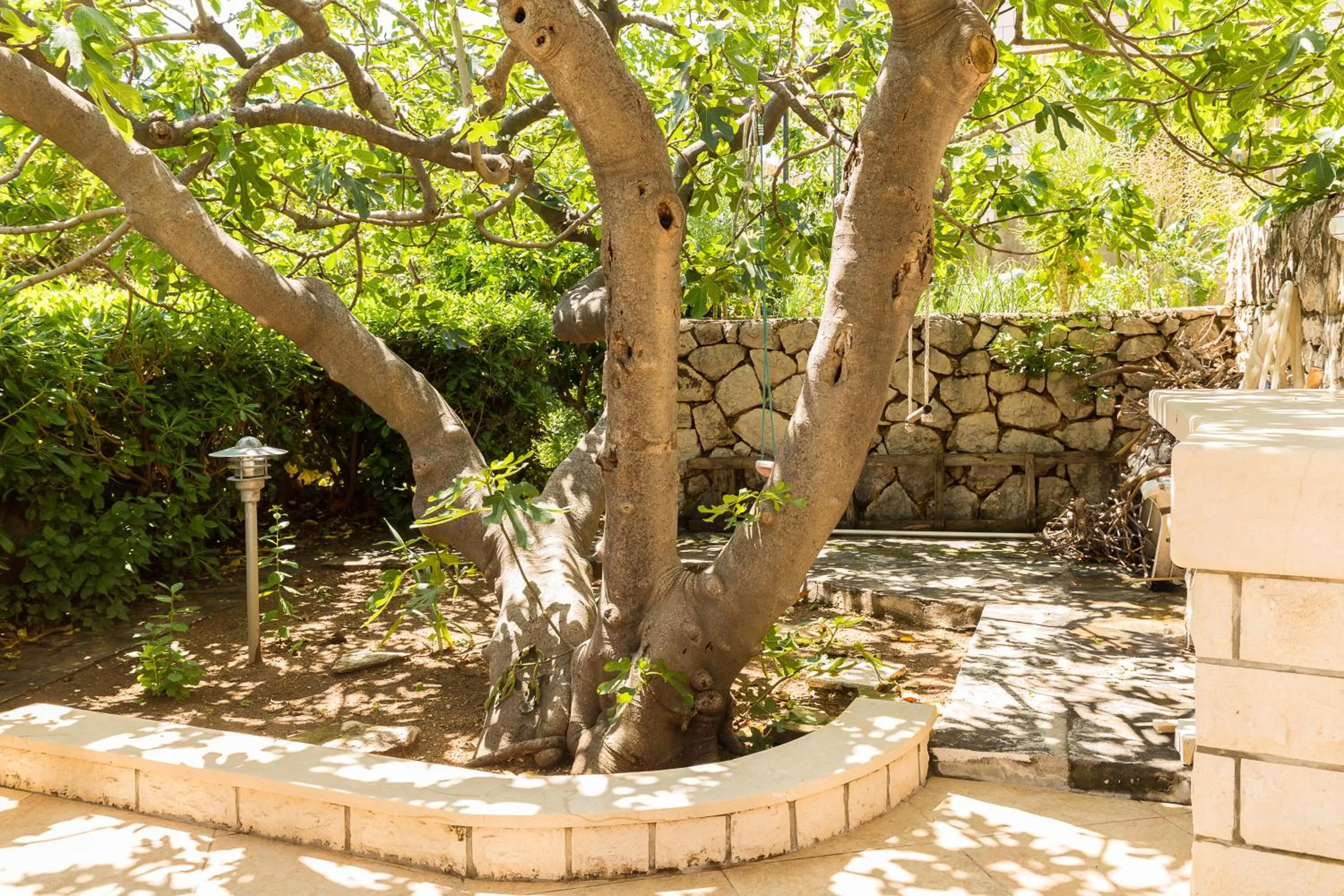 Garden in Guest House Steel