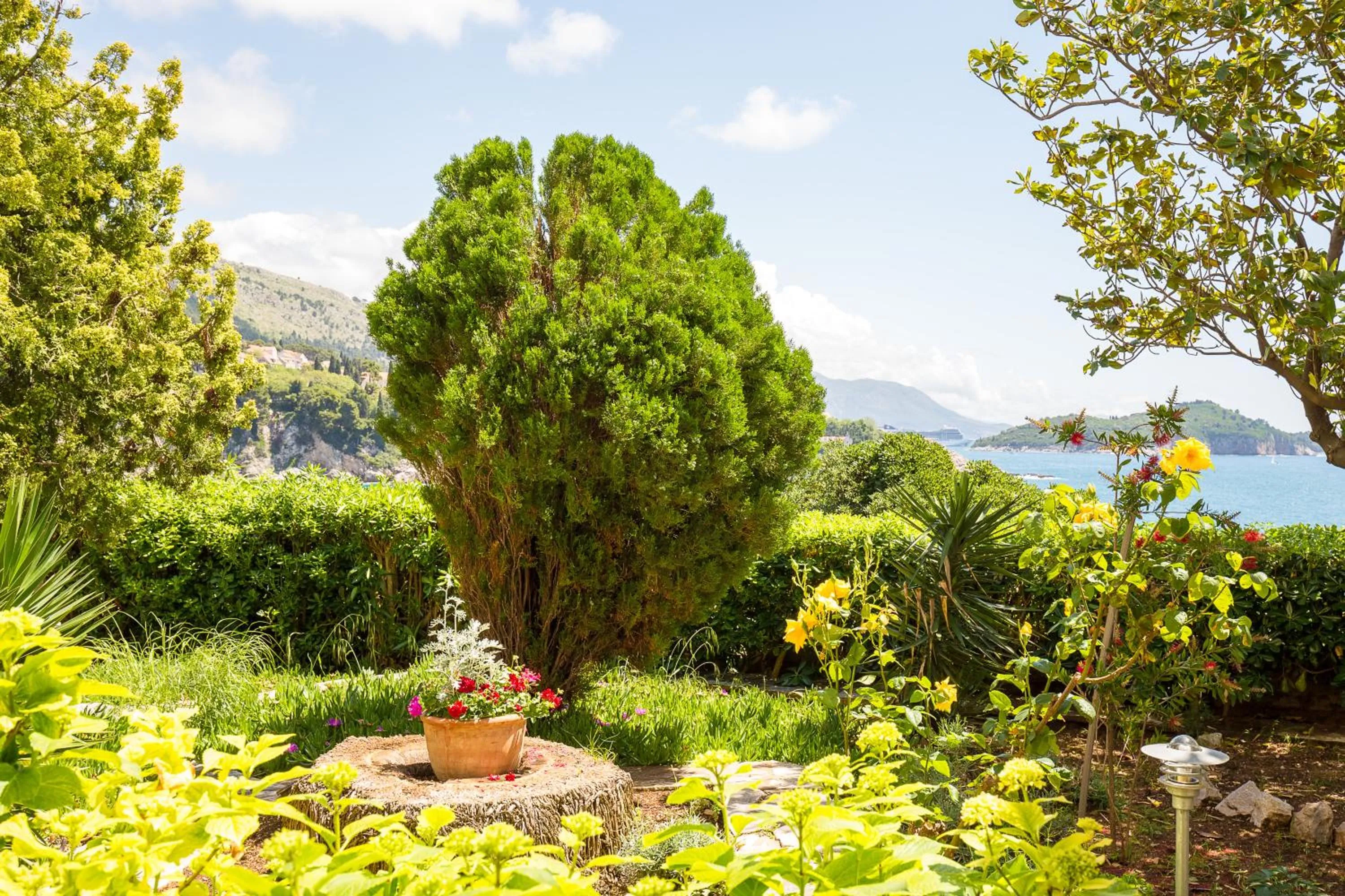 Garden in Guest House Steel