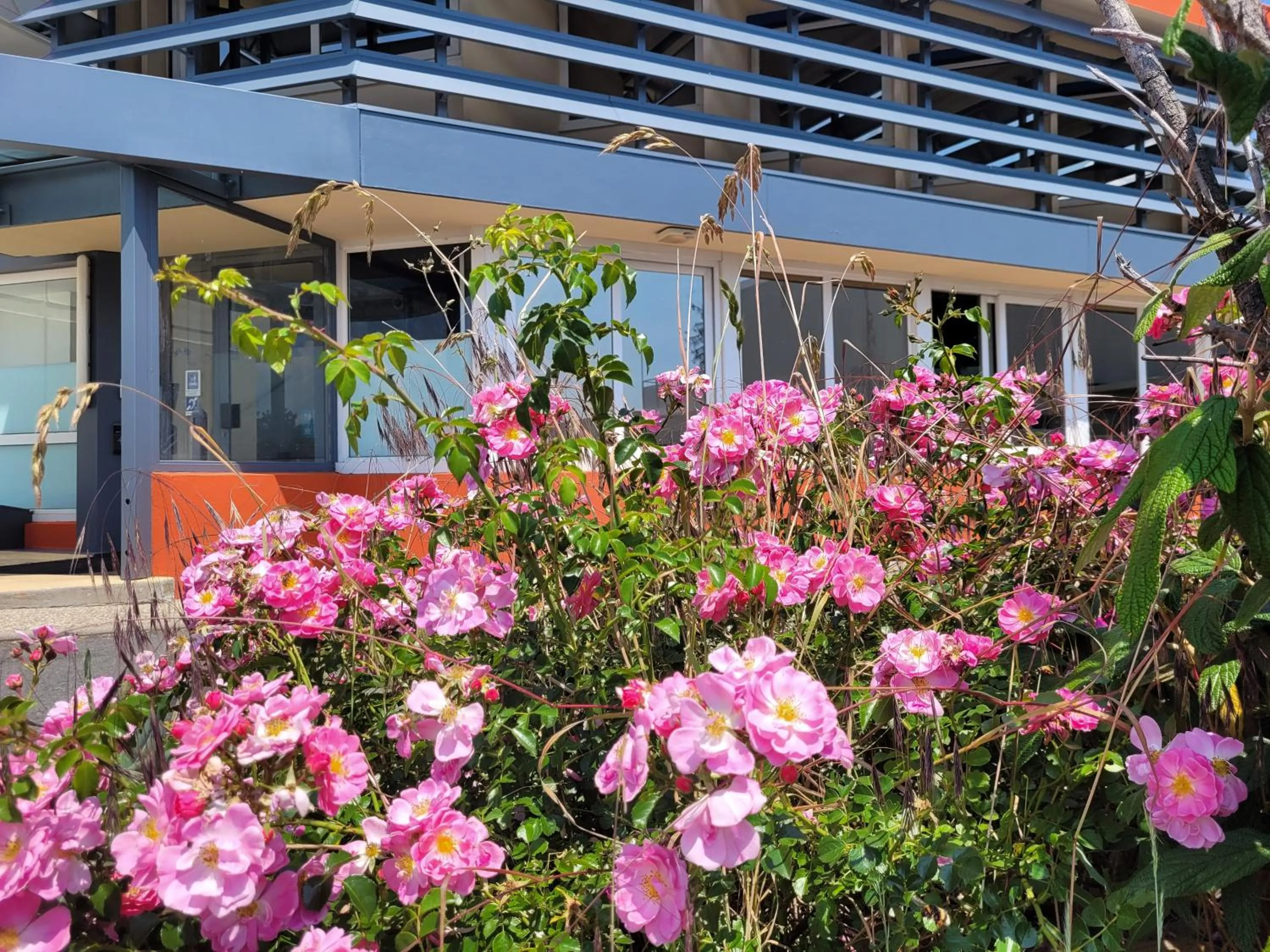 Property building in Premiere Classe Lyon Nord Dardilly