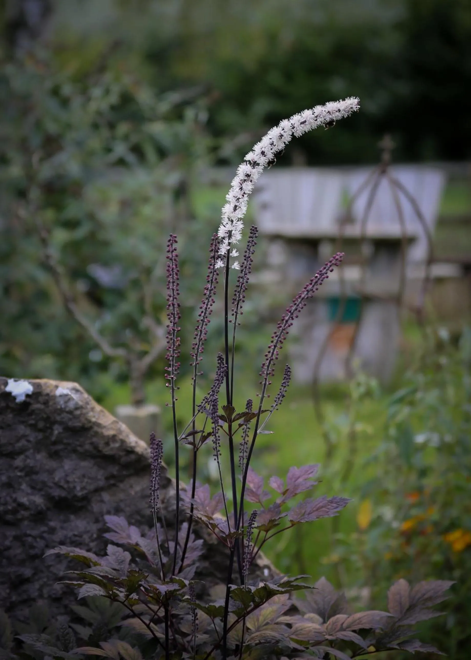 Garden in ÖlandsRo B&B
