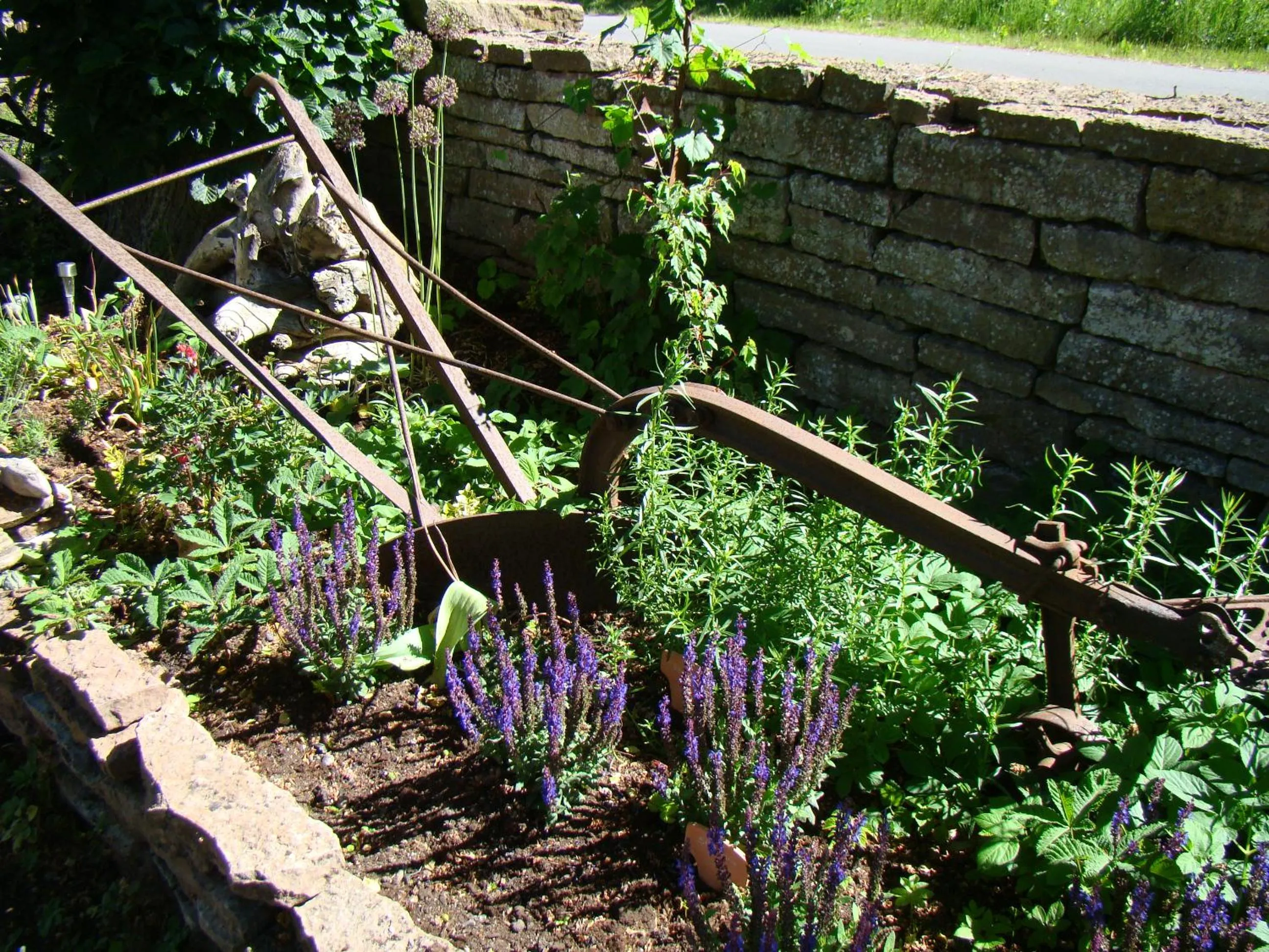 Garden in ÖlandsRo B&B