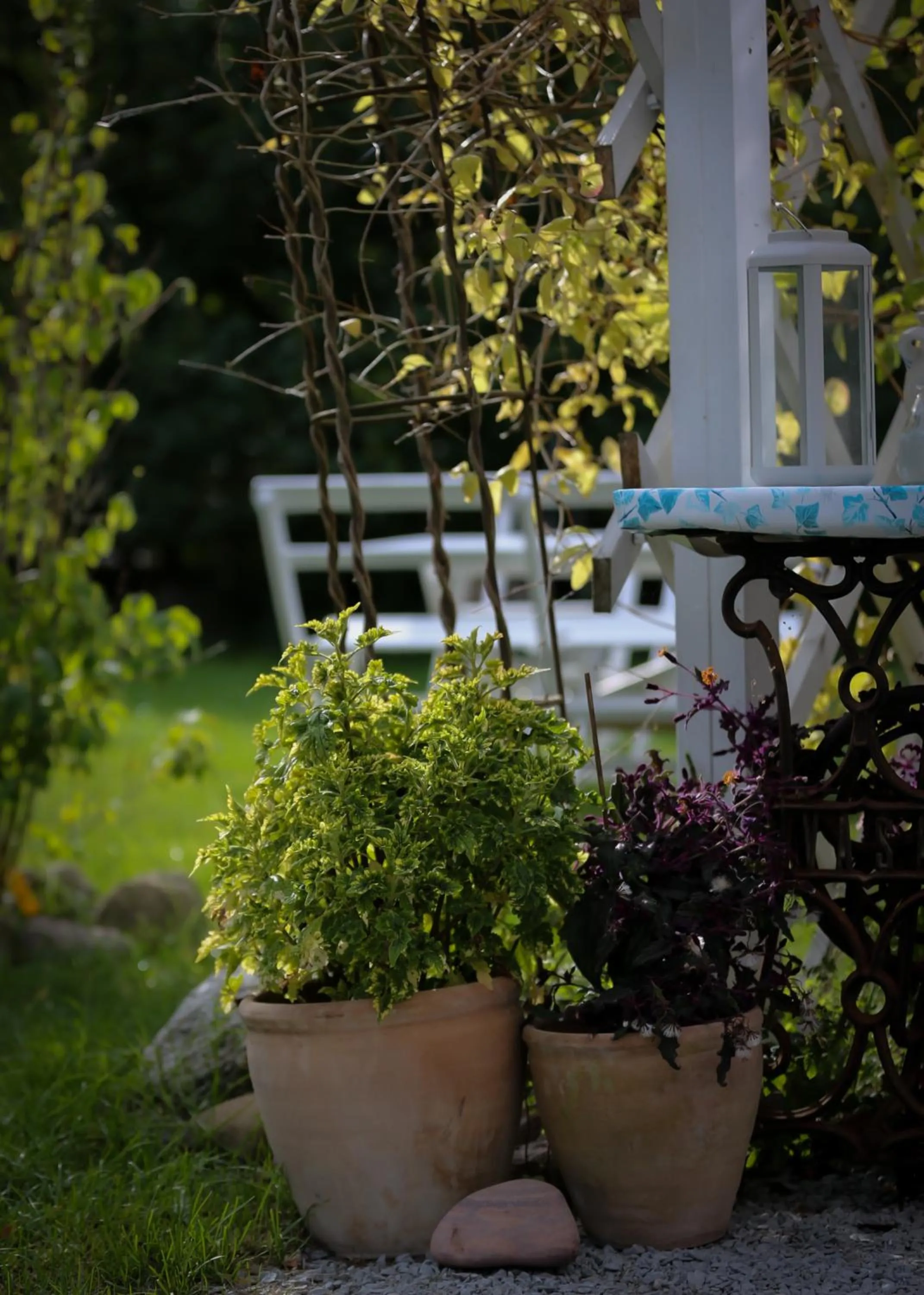 Garden in ÖlandsRo B&B