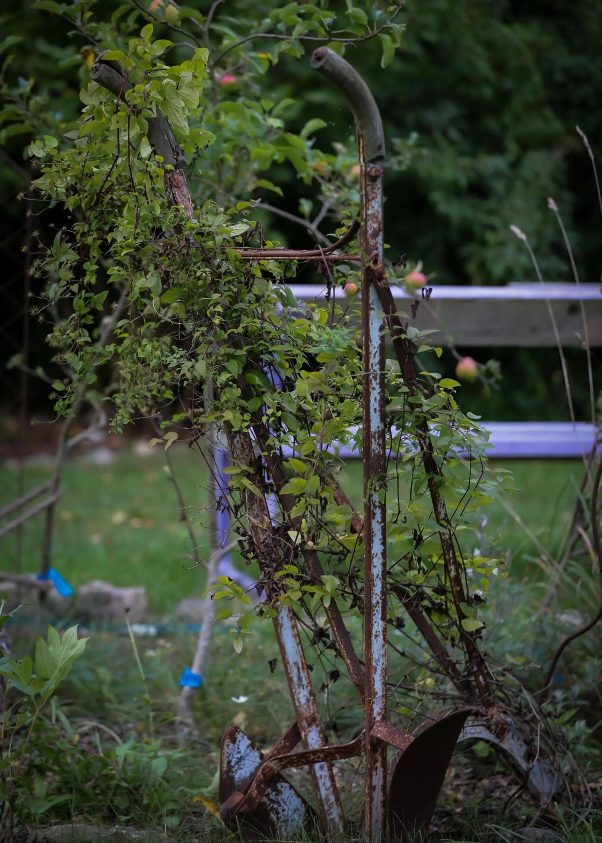 Garden in ÖlandsRo B&B