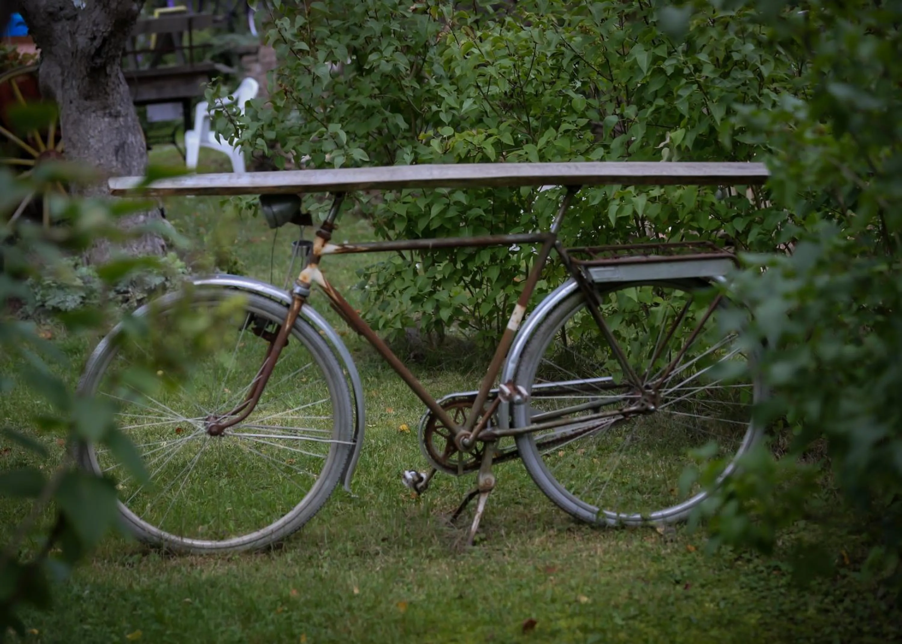 Garden in ÖlandsRo B&B