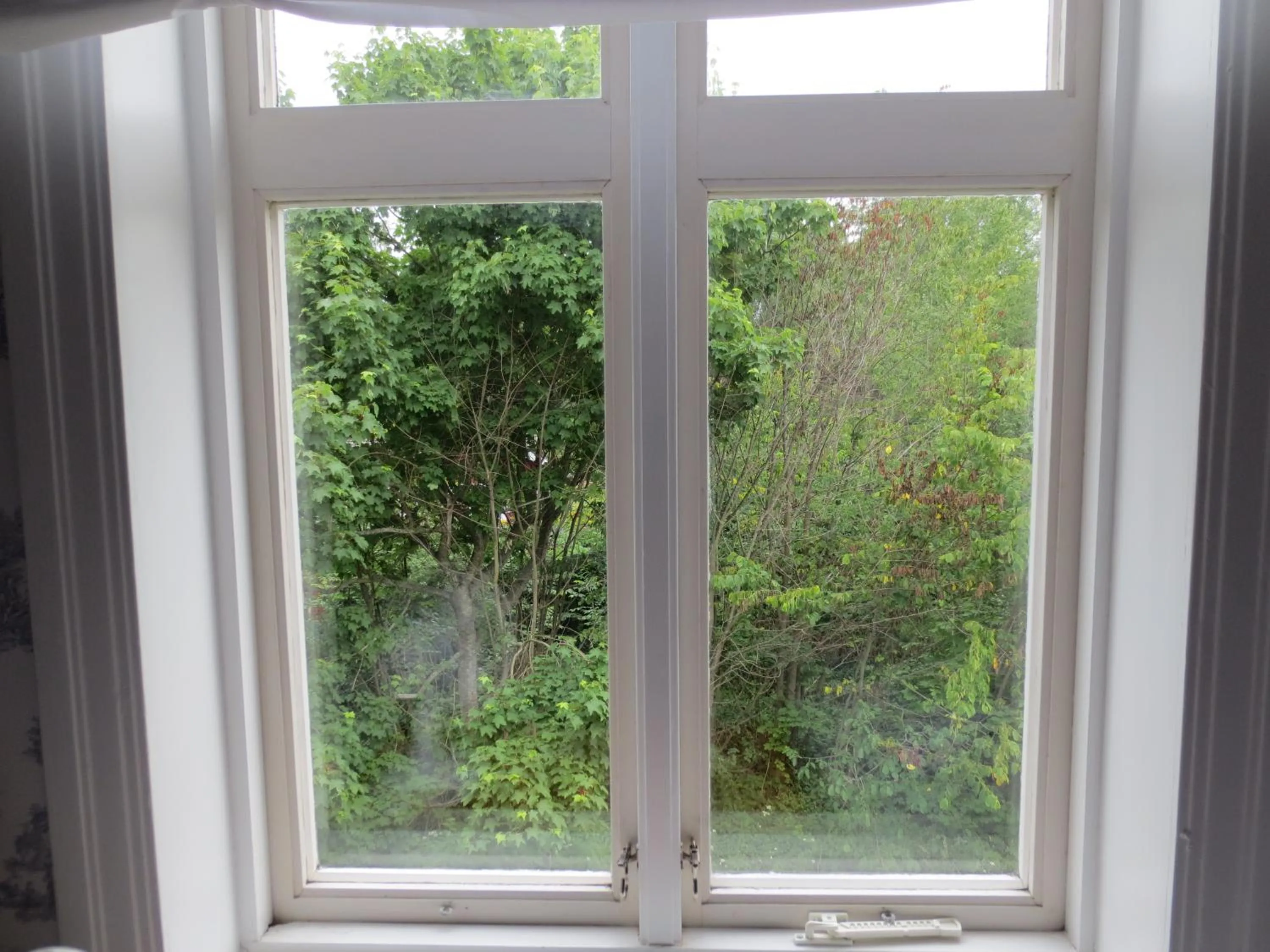 View (from property/room) in ÖlandsRo B&B