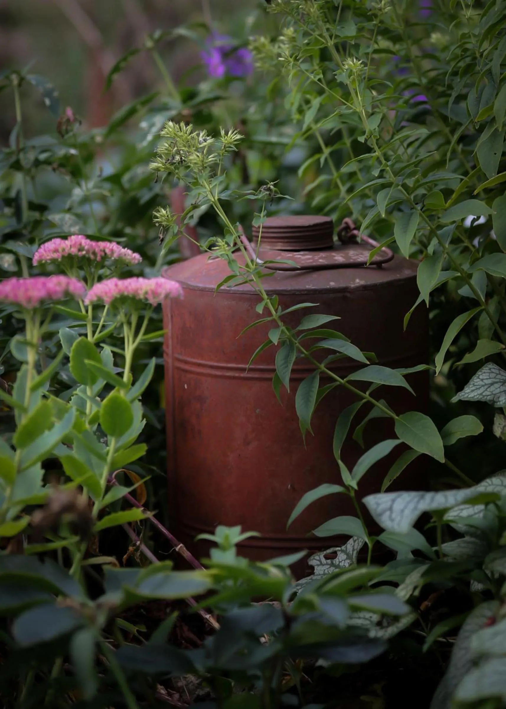 Garden in ÖlandsRo B&B
