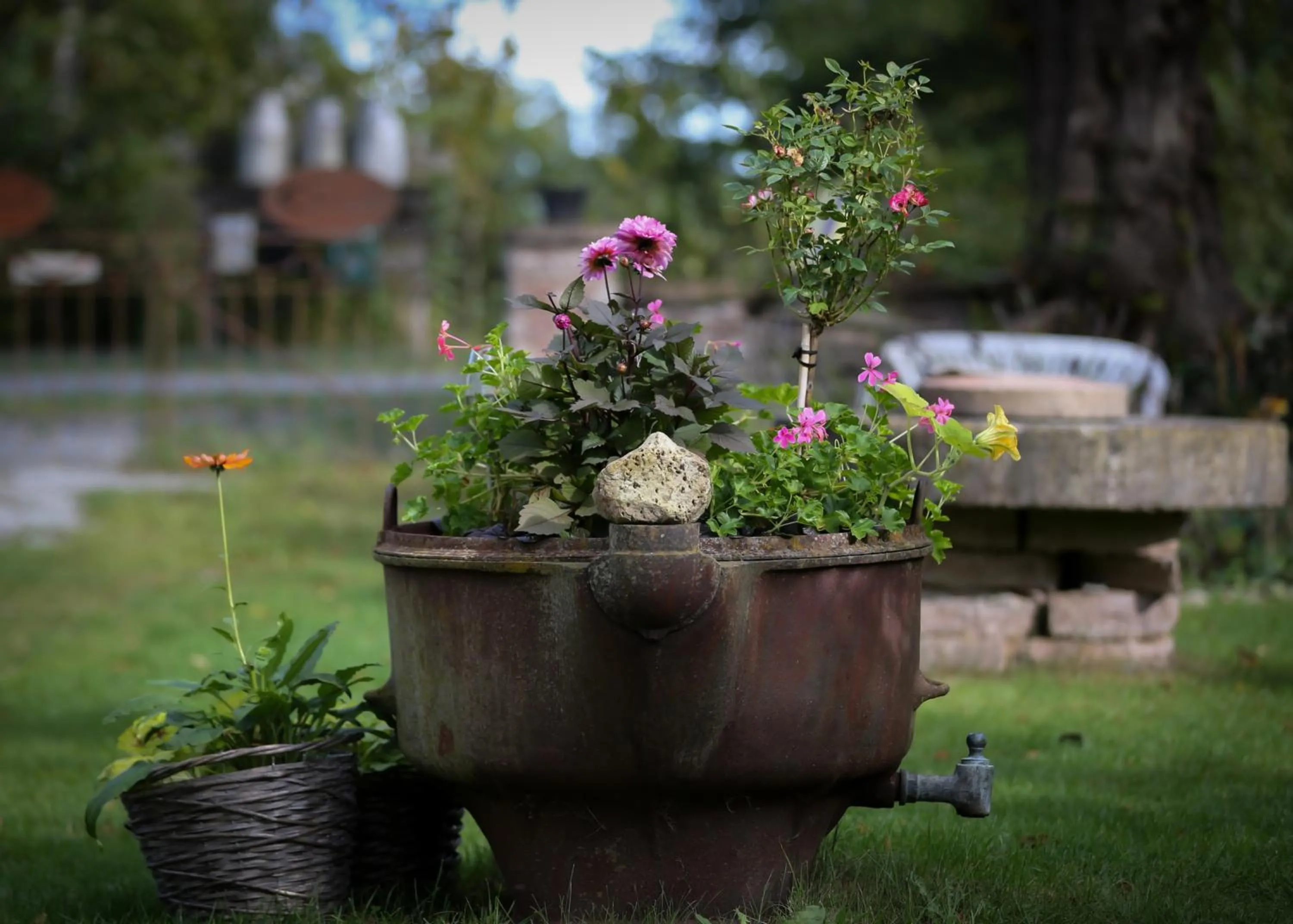 Garden in ÖlandsRo B&B