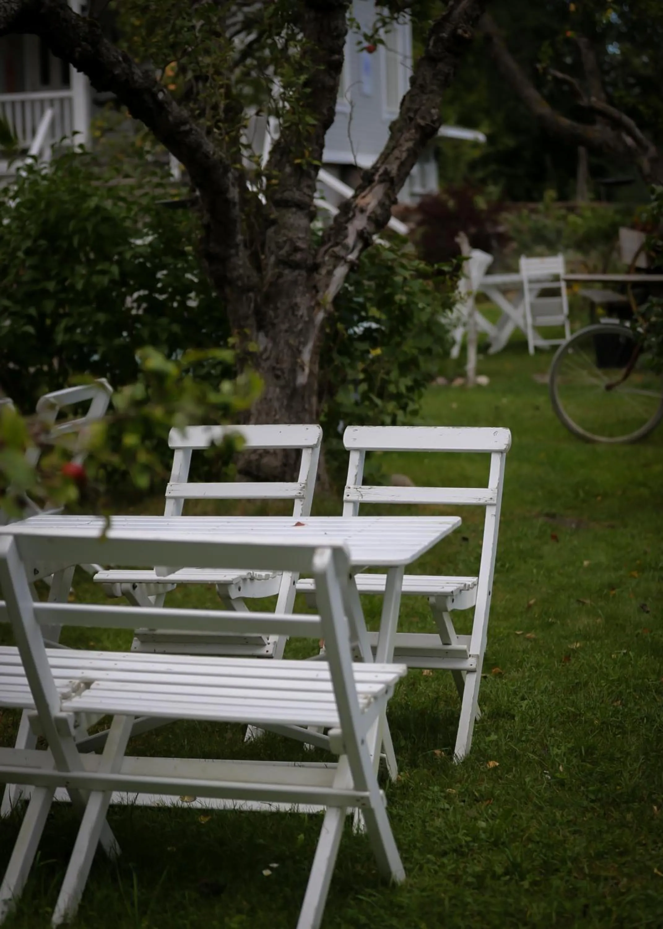 Garden in ÖlandsRo B&B