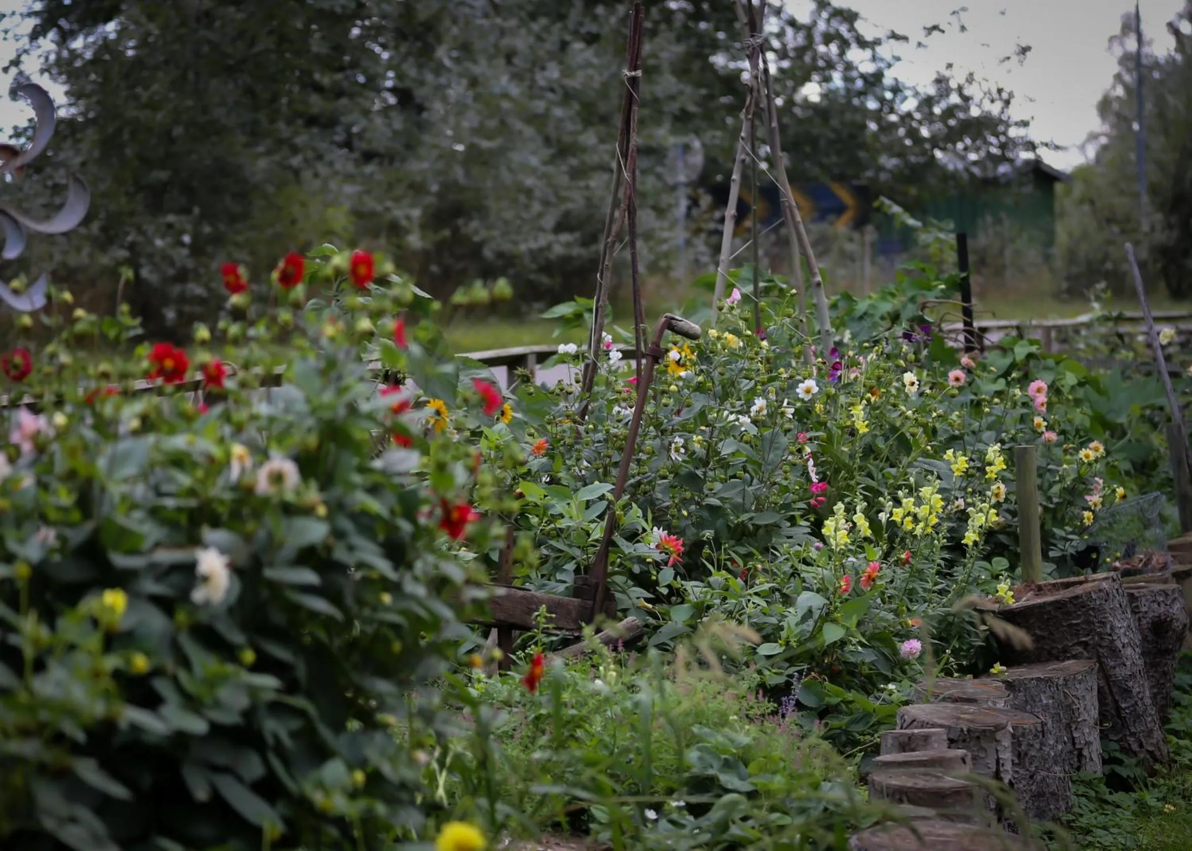 Garden in ÖlandsRo B&B