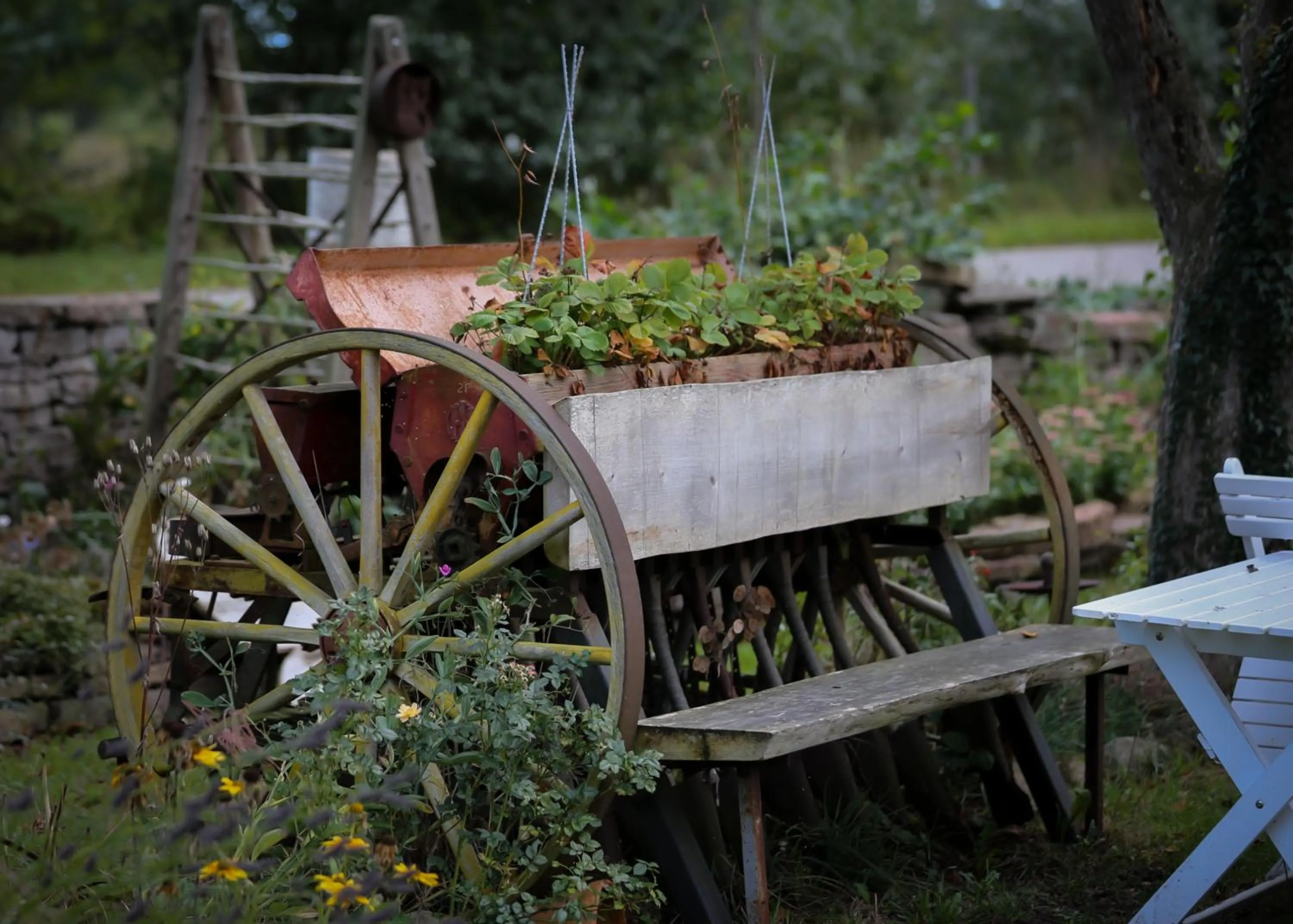 Garden in ÖlandsRo B&B