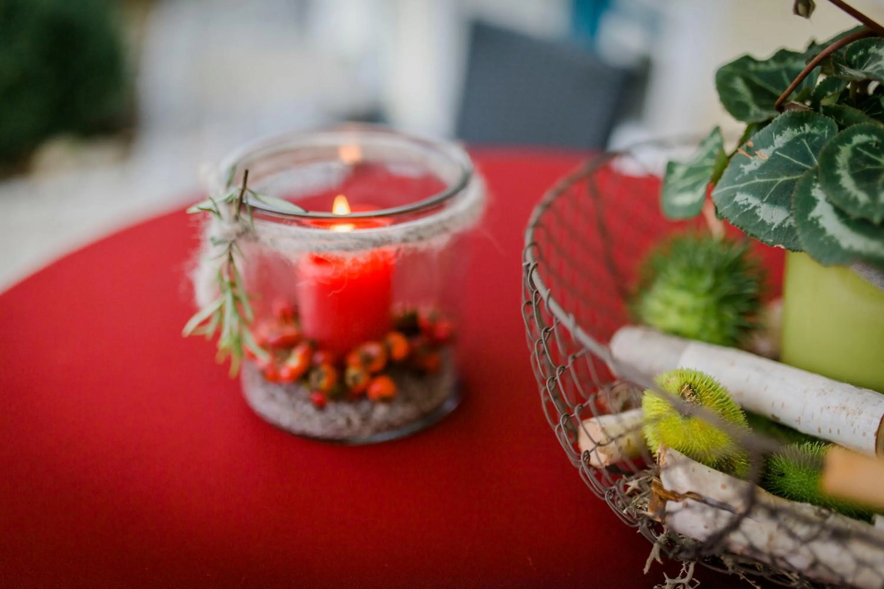 Patio in Gasthaus & Pension Mohren