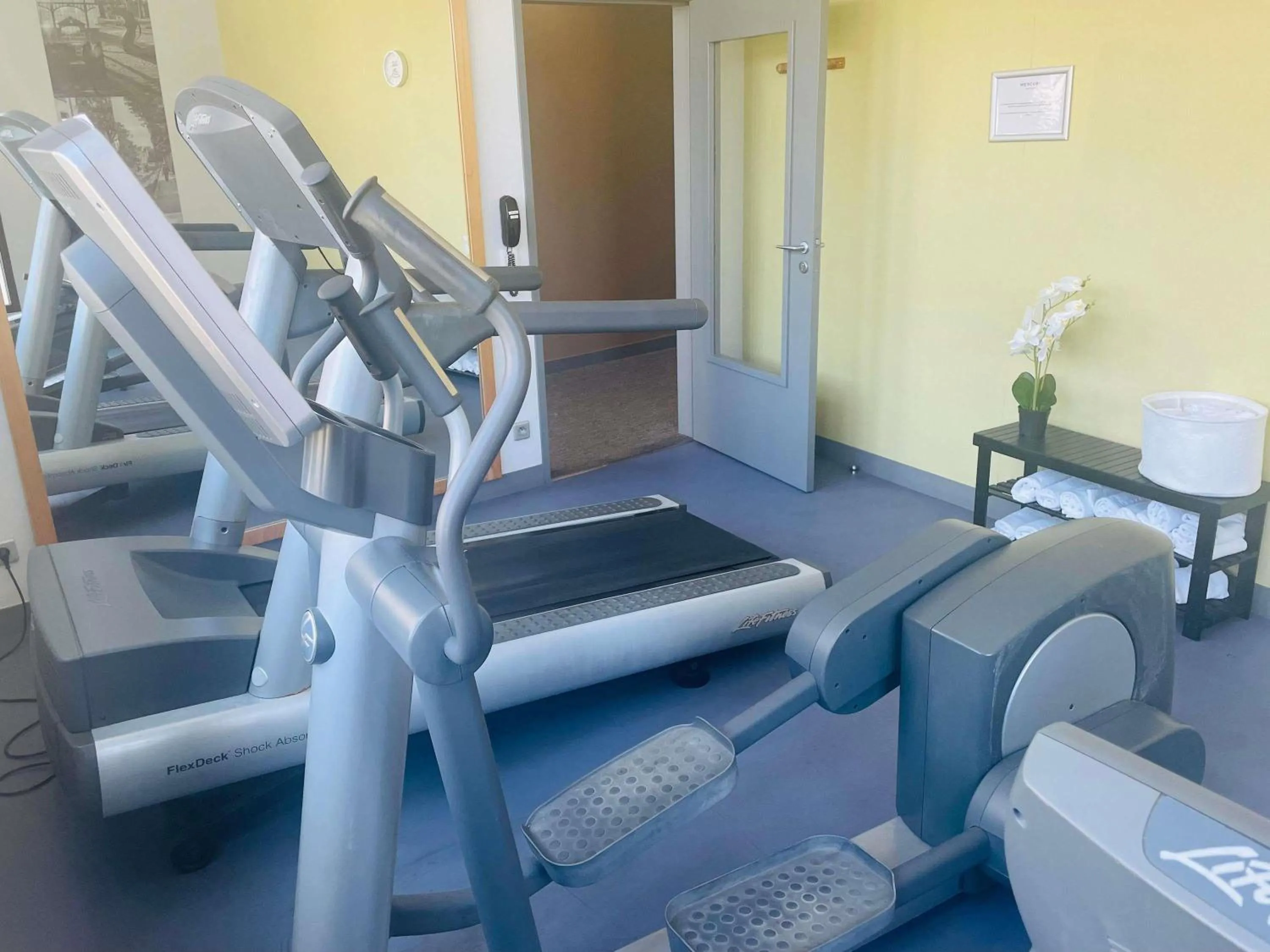 Fitness centre/facilities in Mercure Niort Marais Poitevin