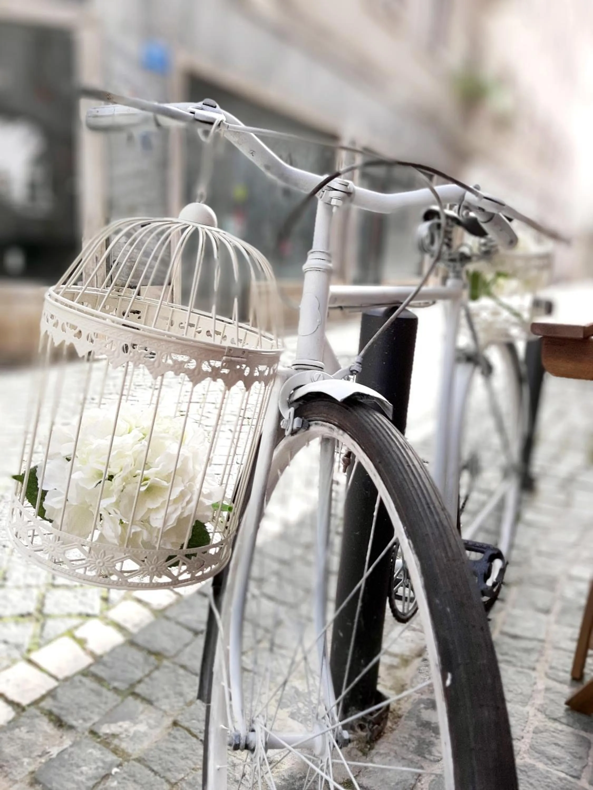 Cycling in Residenza Dutzu - Aparthotel Leiria