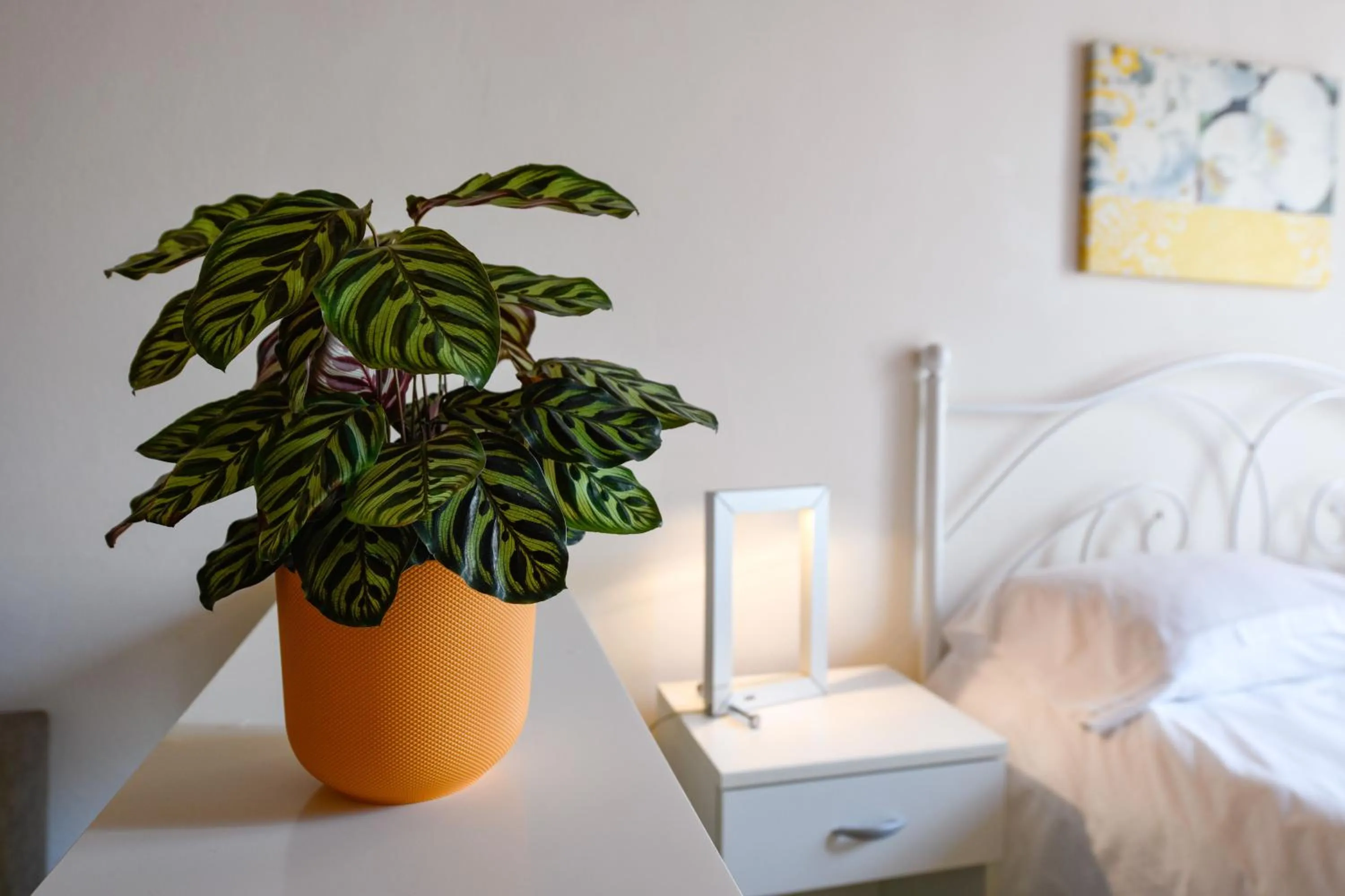 Decorative detail, Bed in Flowers Apartments