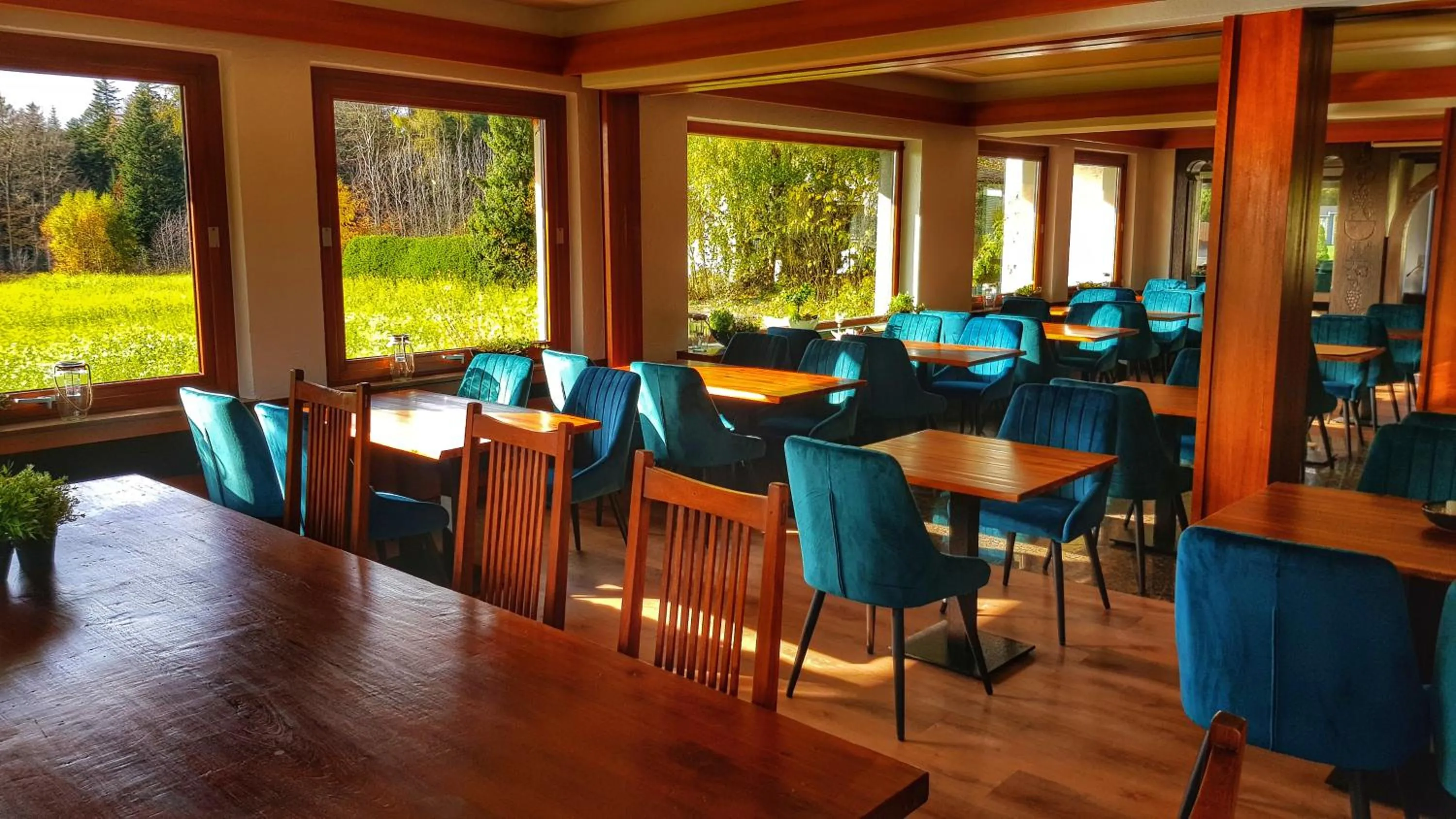 Restaurant/places to eat in Hotel Restaurant Sonnenschein