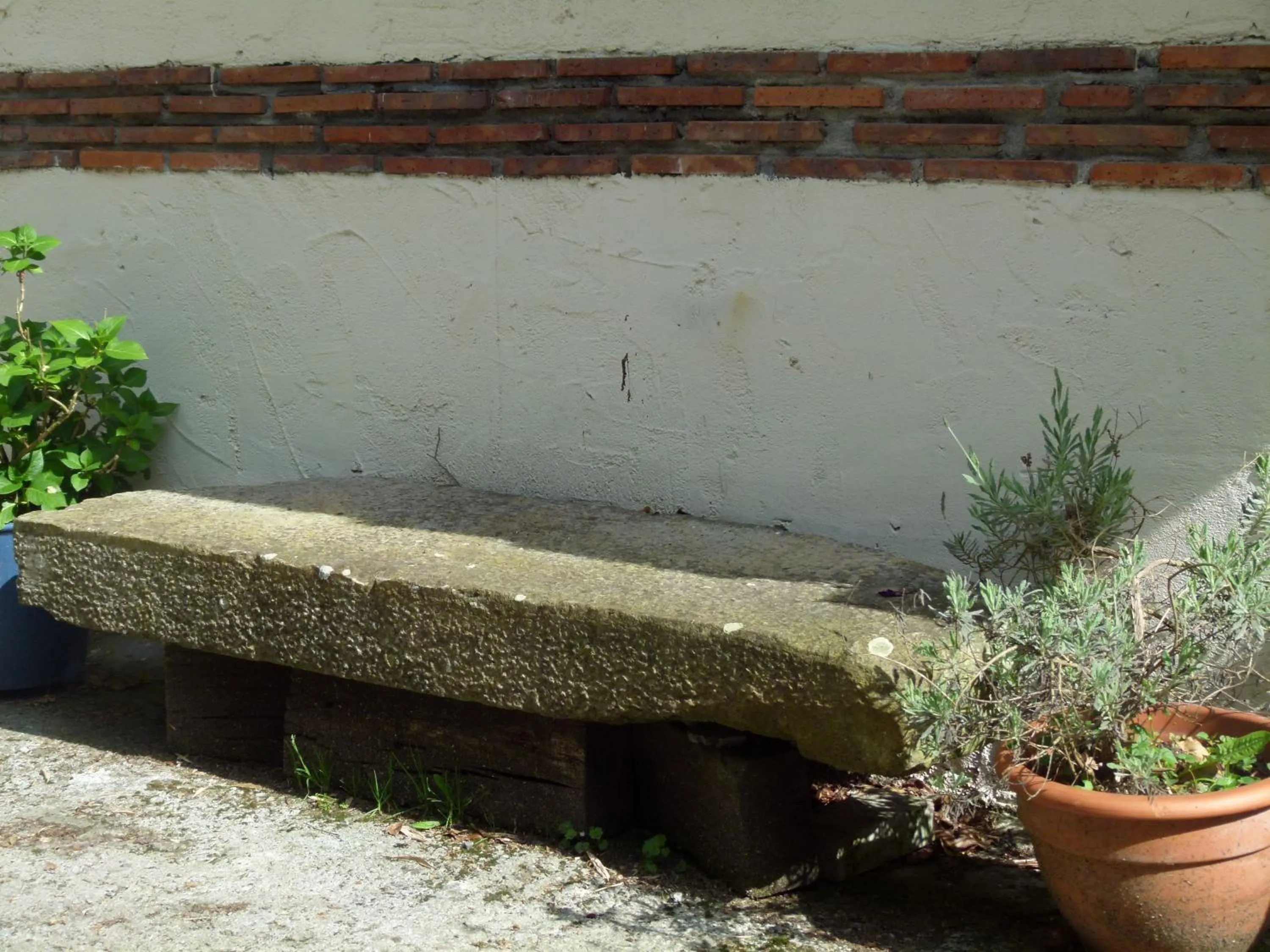 Garden in Agroturismo Ibarra