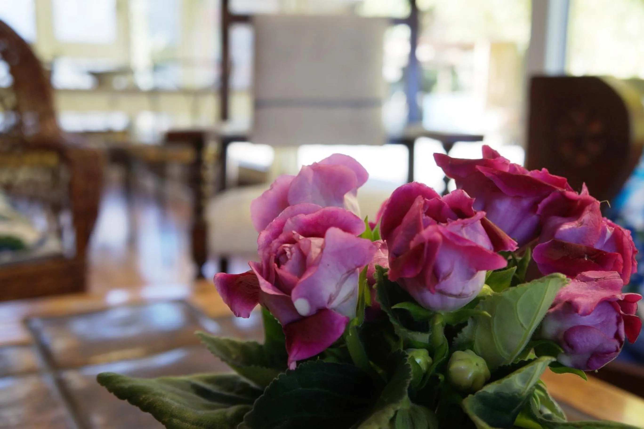 Decorative detail in Agroturismo Ibarra