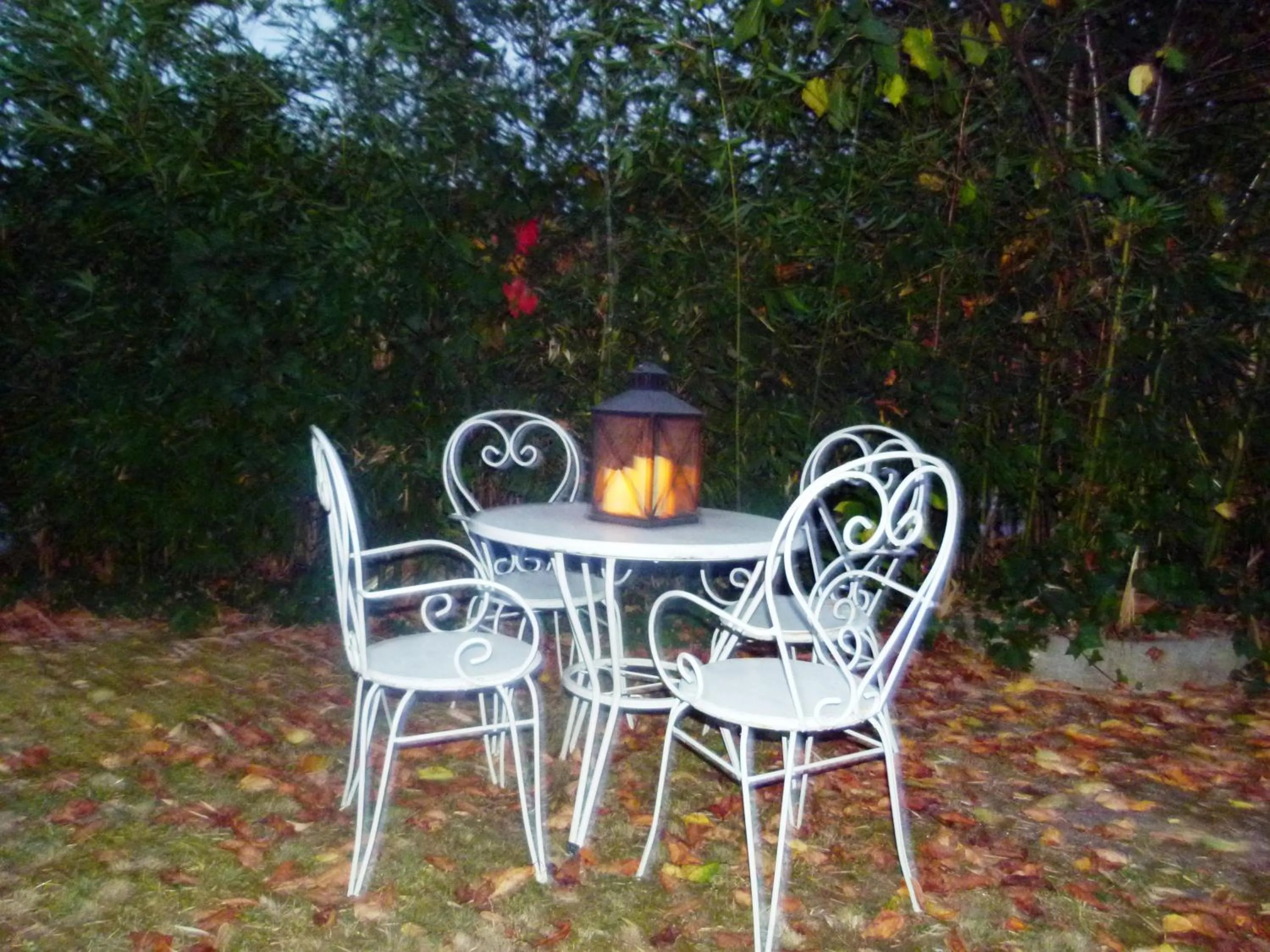 Garden in Agroturismo Ibarra