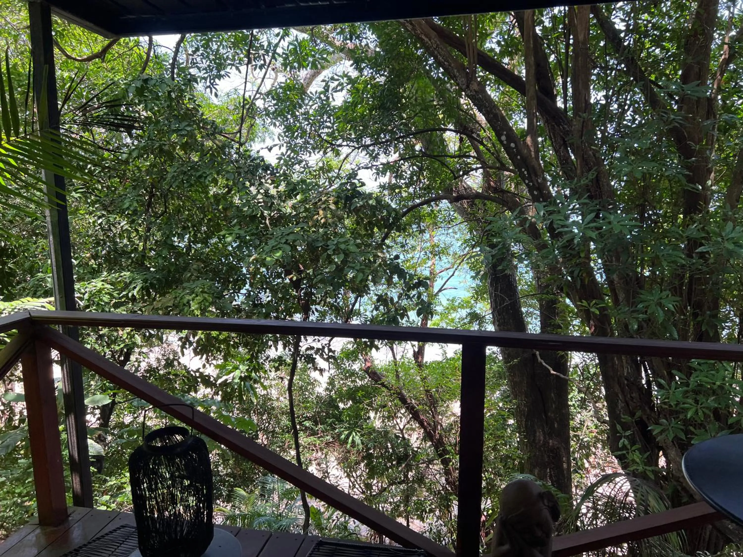 View (from property/room) in Saboga Lodge