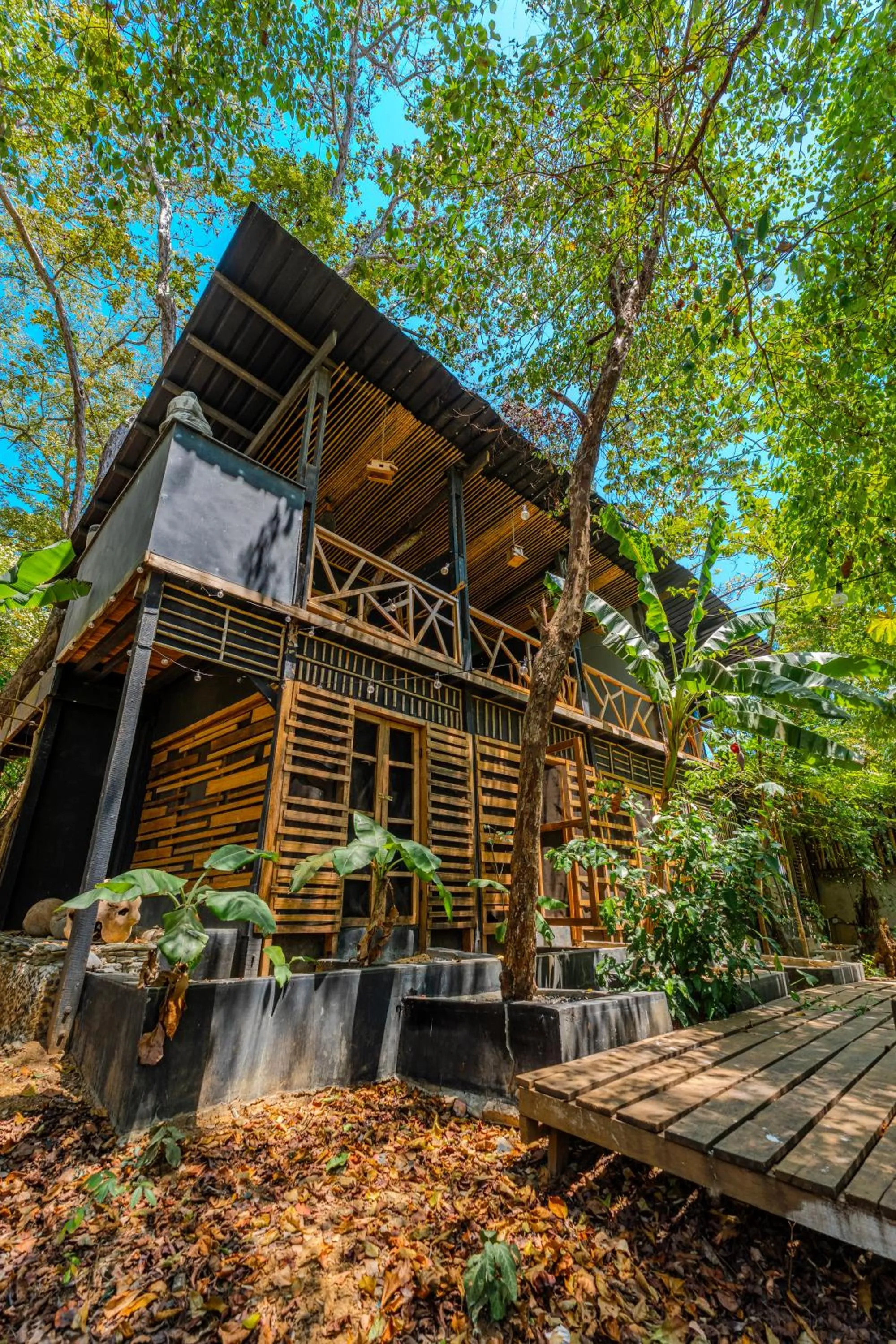 Garden in Saboga Lodge